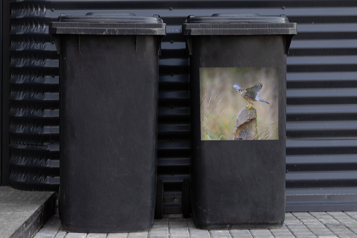 Mülltonne, Flügeln MuchoWow Mülleimer-aufkleber, Sticker, den (1 Merlin St), mit Abfalbehälter Container, schlägt Wandsticker