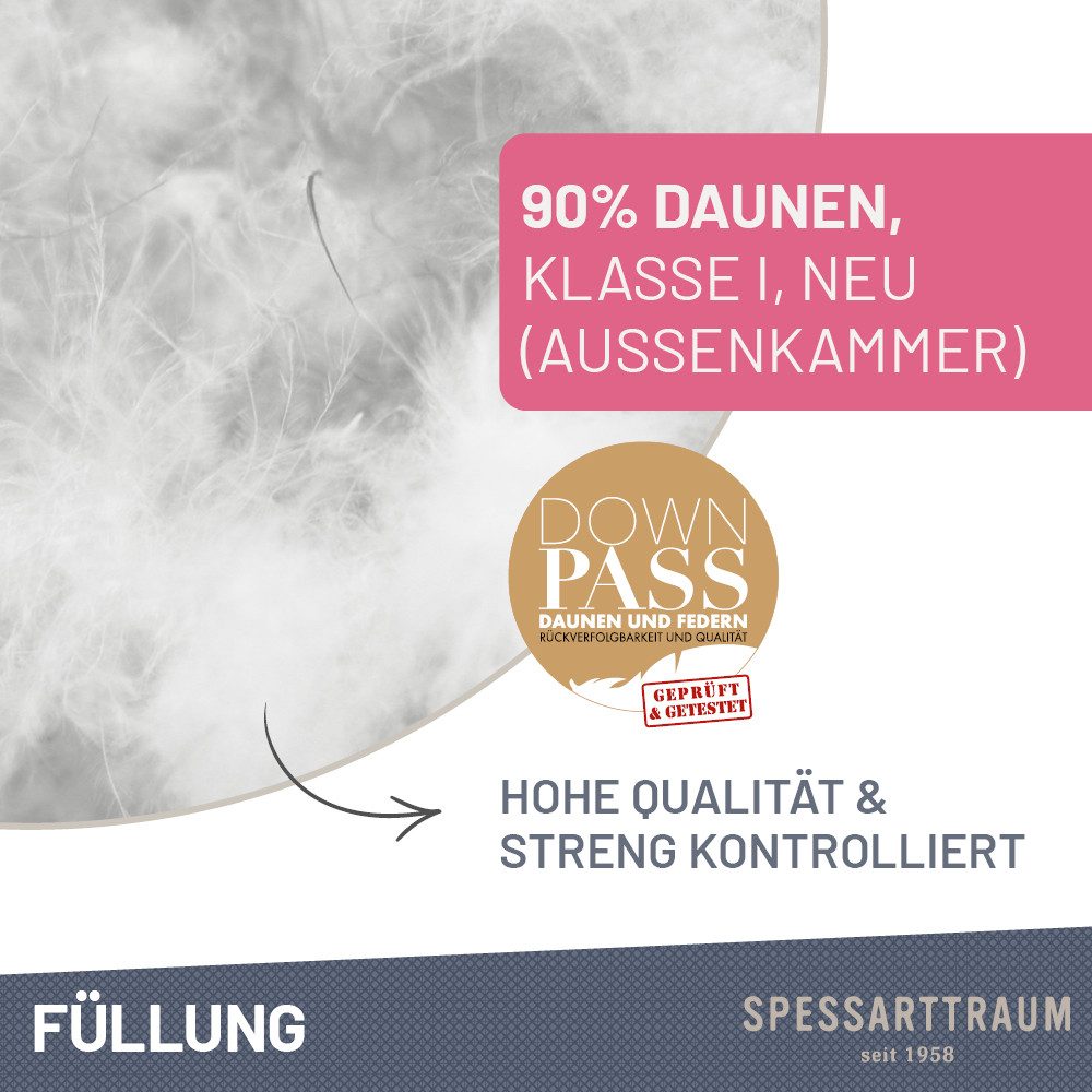SPESSARTTRAUM 3-Kammer-Kopfkissen Arosa Sparset, Rückenschläfer, Seitenschläfer, Kissen 40x80, 80x80 cm & weitere Größen