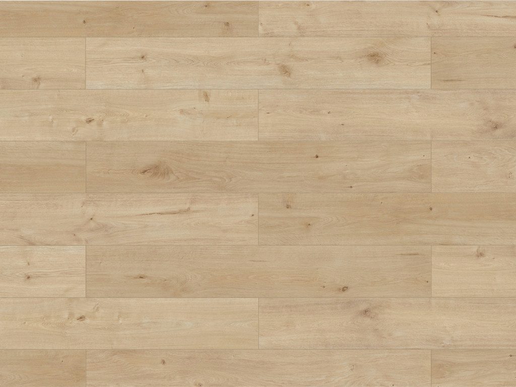BASICfloor Laminat Laminat Lifestyle Trend Bellemont Oak greige Landhausdiele