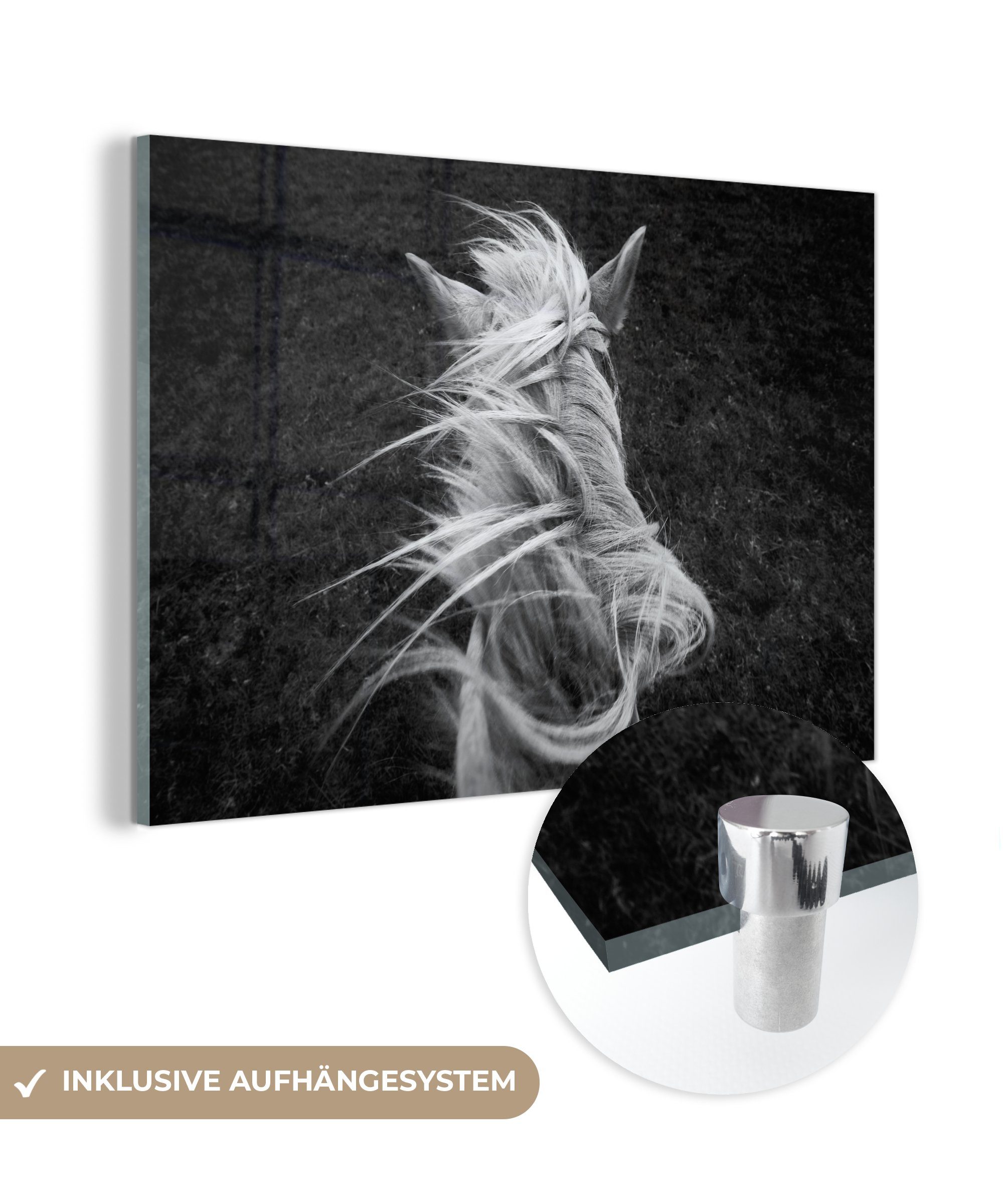in (1 MuchoWow Mähne & eines Acrylglasbild St), Acrylglasbilder Weiß, Schwarz Wohnzimmer und Pferdes Schlafzimmer