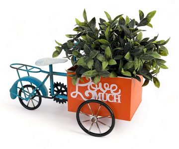 DanDiBo Pflanzentreppe Blumenfahrrad für Garten Metall Stehend Fahrrad Blau Orange
