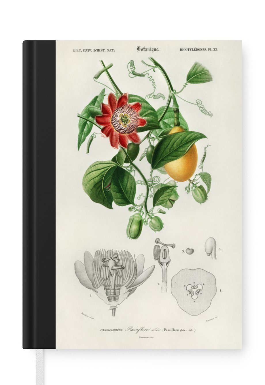 MuchoWow Notizbuch Pflanze - Vintage - Passionsblume, Journal, Merkzettel, Tagebuch, Notizheft, A5, 98 Seiten, Haushaltsbuch