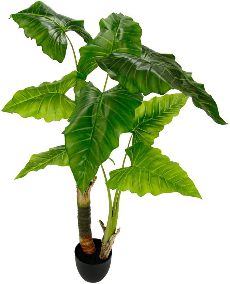 Kunstpflanze Blattpflanze, I.GE.A., Höhe 125 cm, im Kunststofftopf