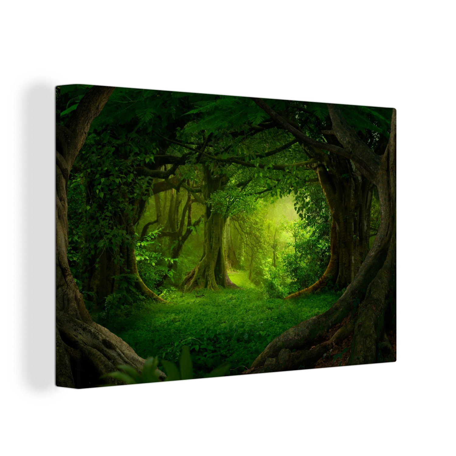 OneMillionCanvasses® Leinwandbild Bäume - Wald - günstig online kaufen
