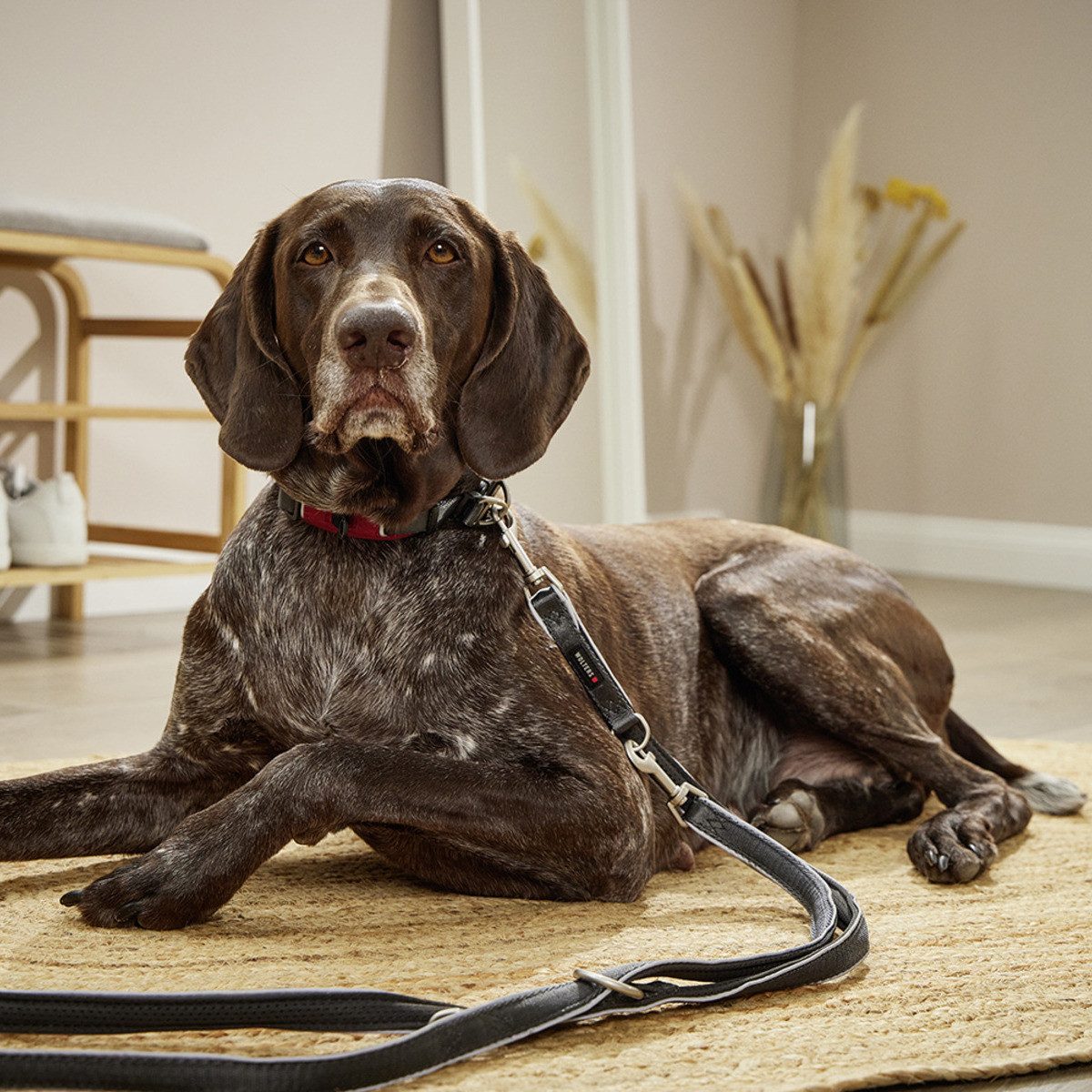 Wolters Hunde-Halsband Halsband Active Pro Comfort rot/anthrazit