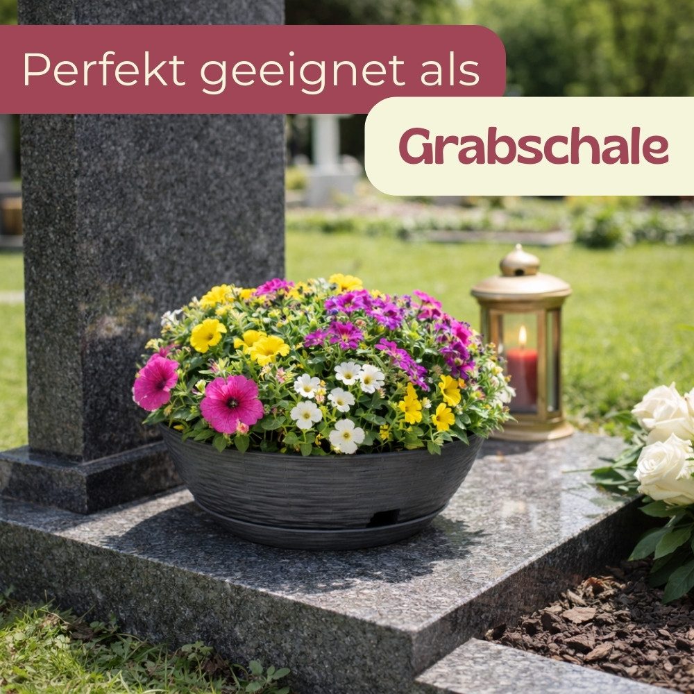 GarPet Pflanzschale Pflanzschale Rund mit Untersetzer Blumenschale Kunststoff Grabschale – Bild 5 von 5