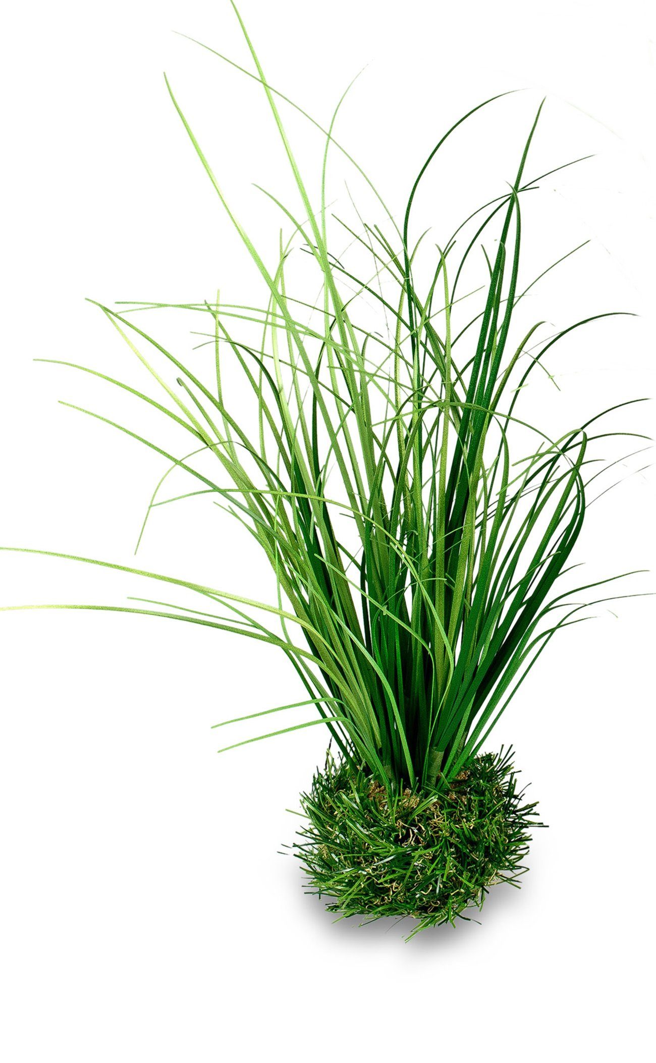 30cm cm 30 auf Osterdeko Höhe künstliches Kunstblume Kunstpflanze, dekojohnson, Grassockel Ziergras
