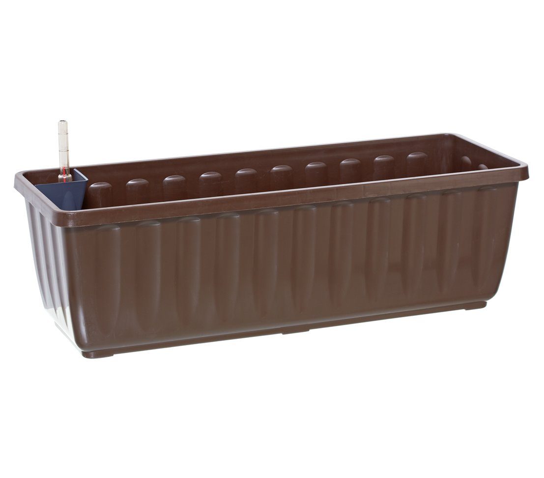 Dehner Blumenkasten Aqua-Flor Plus mit Bewässerungssystem, günstig online kaufen