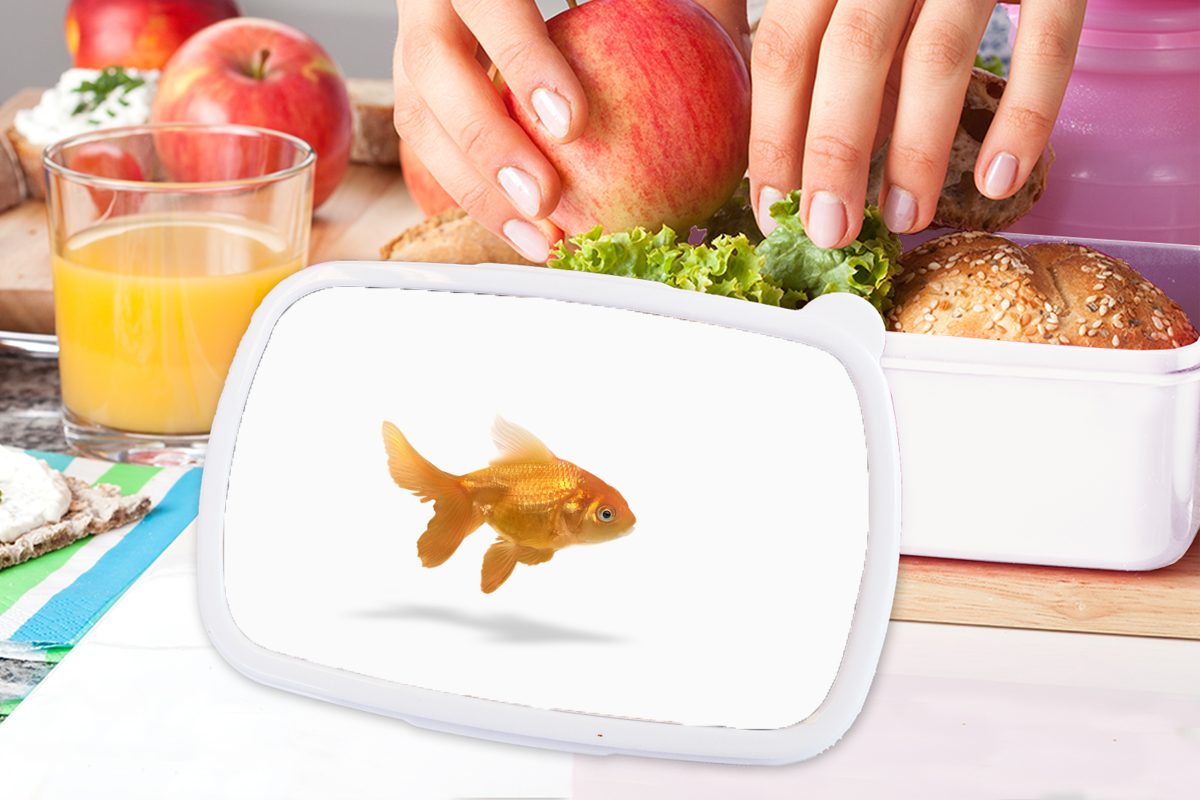MuchoWow - Lunchbox Goldfisch - und für Weiß Kinder und Kunststoff, Fisch, Brotbox (2-tlg), Jungs Erwachsene, Mädchen für Brotdose,