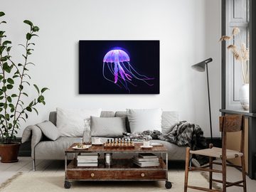 Sinus Art Leinwandbild 120x80cm Wandbild auf Leinwand Qualle unter Wasser Violett Schwarz Unt, (1 St)