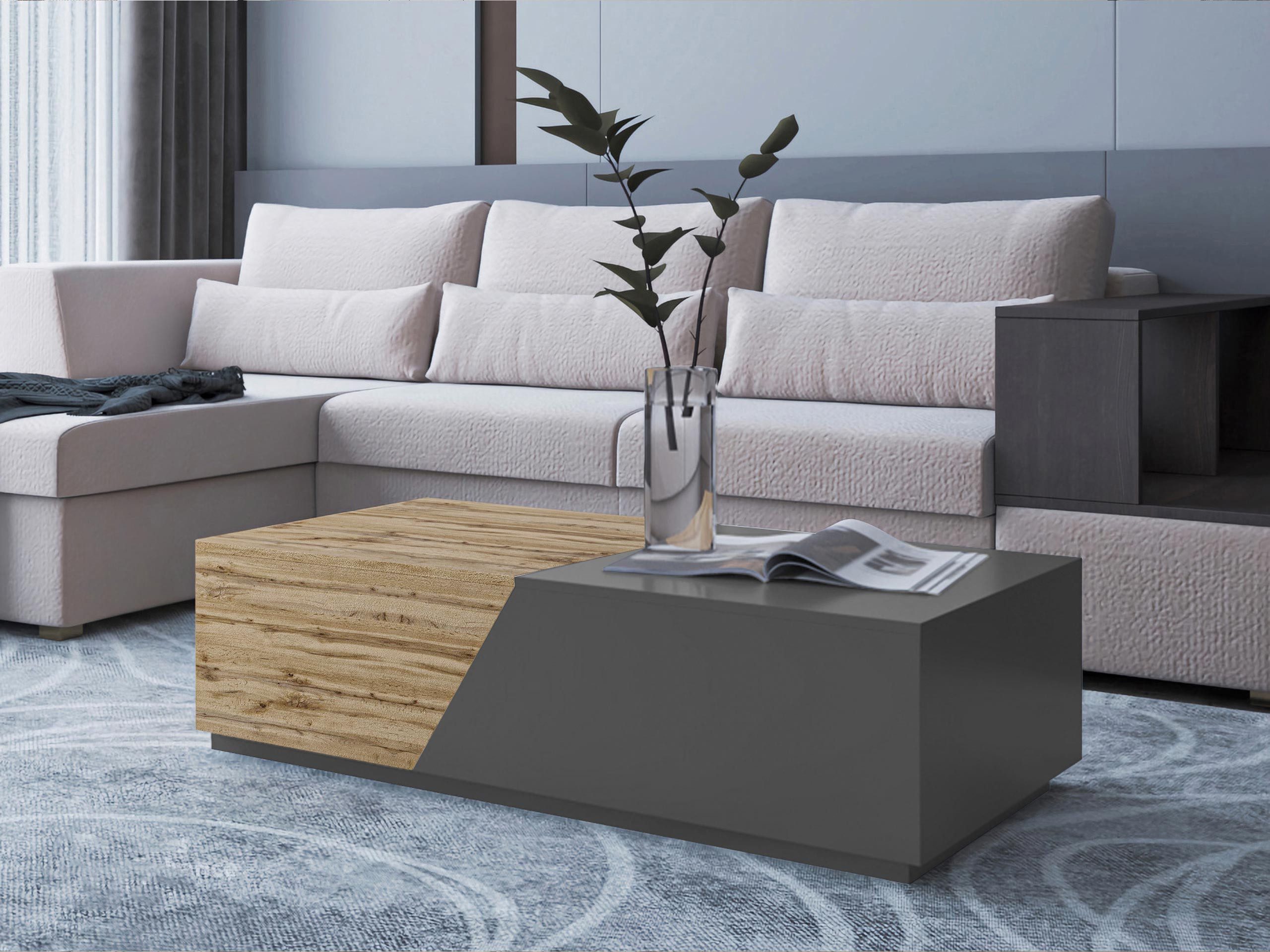 MIRJAN24 Couchtisch Ceelias (mit abgetrennten Staufächern), günstig online kaufen