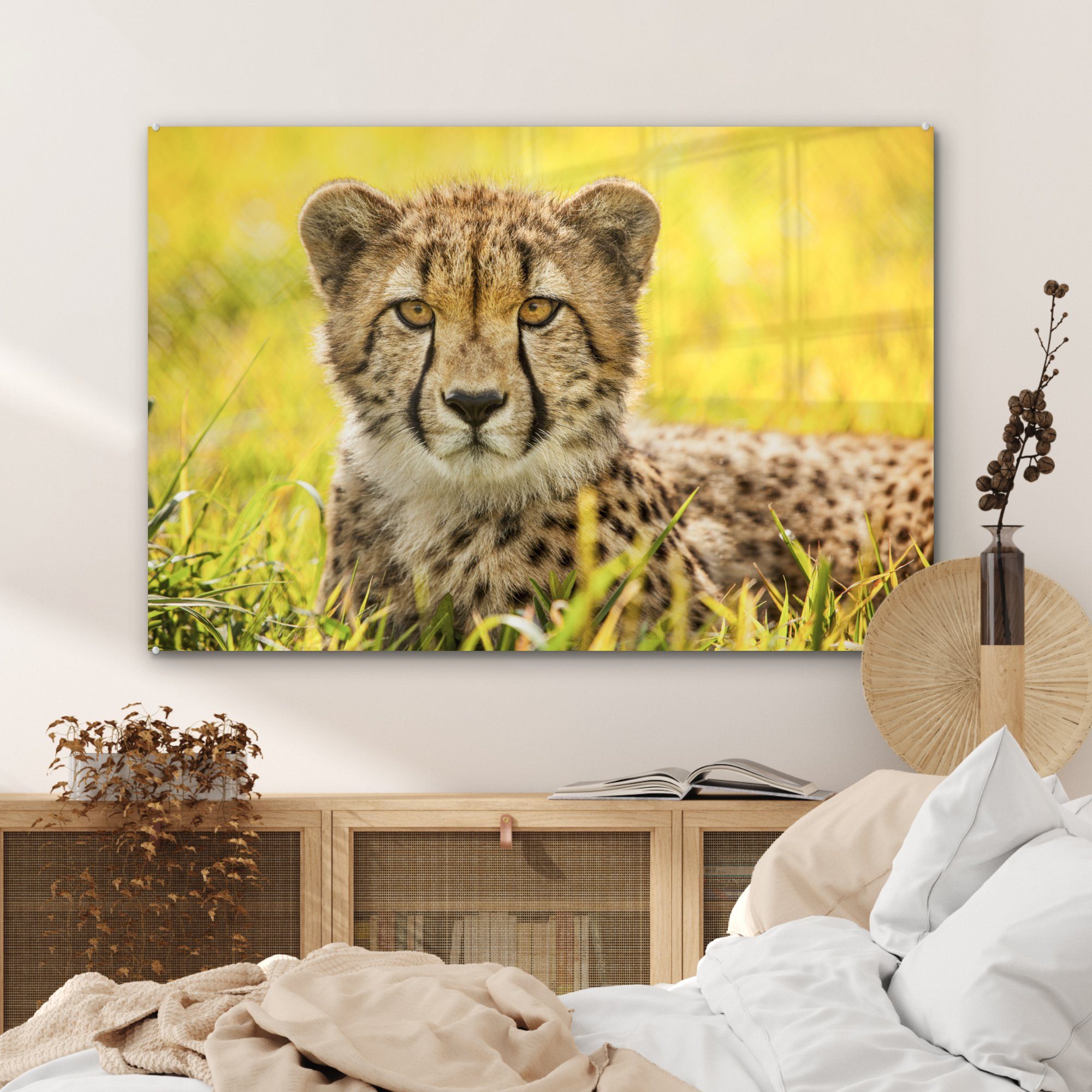 & Acrylglasbilder Leopard Gras Acrylglasbild (1 Wohnzimmer MuchoWow - - Schlafzimmer Gepard, St),