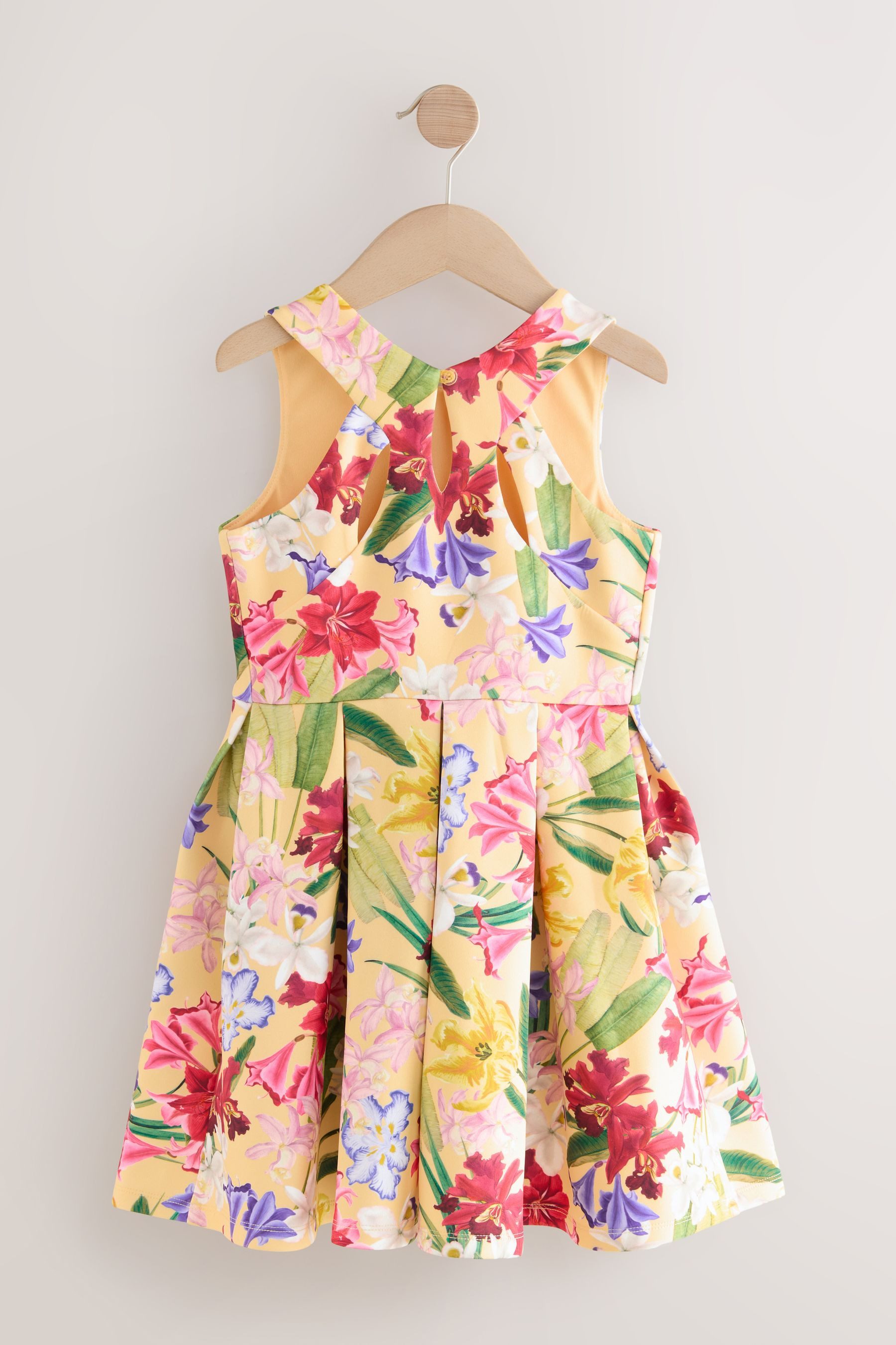 Next Partykleid Scuba-Kleid mit Cutout für günstig online kaufen