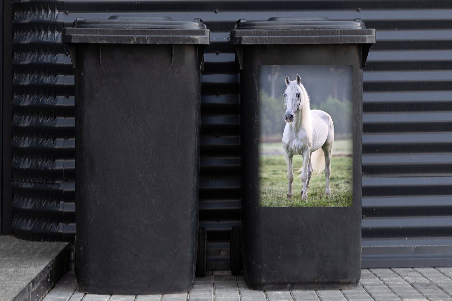 MuchoWow Wandsticker Pferd (1 Sticker, - Abfalbehälter St), Mülleimer-aufkleber, Licht Morgen Mülltonne, Container, 