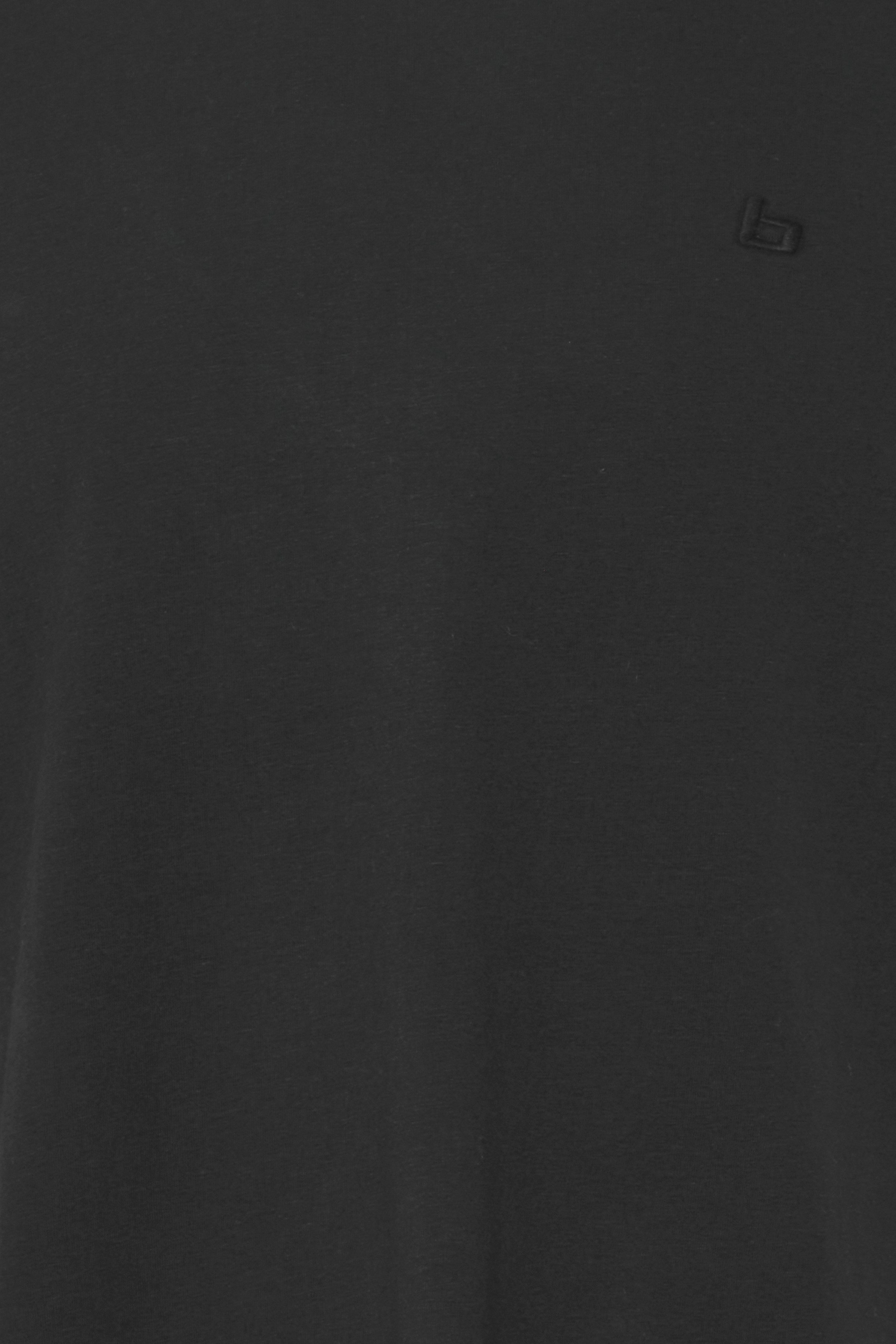 Blend T-Shirt BHDinton tee crew