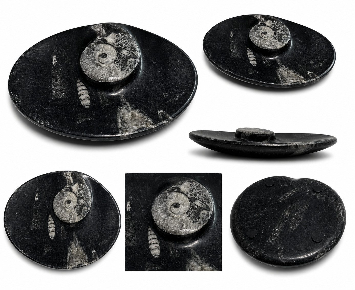 Nesbel - Spüren Sie die Reinheit? Dekoschale (1 St), Orthoceras Edelsteinschale versteinerte Tintenfischarme 15x11,5x2 cm
