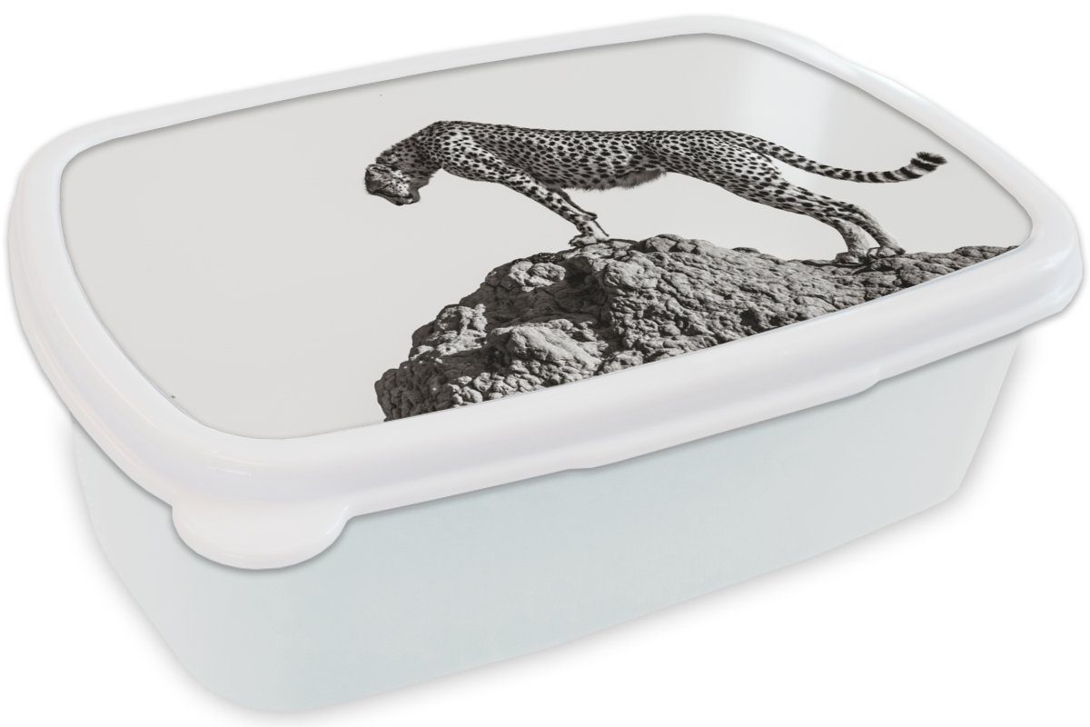 MuchoWow Lunchbox Raubtier - Panther Brotbox - Erwachsene, Jungs und Mädchen und Kunststoff, Kinder weiß für Tiere Brotdose, - für Natur, (2-tlg)