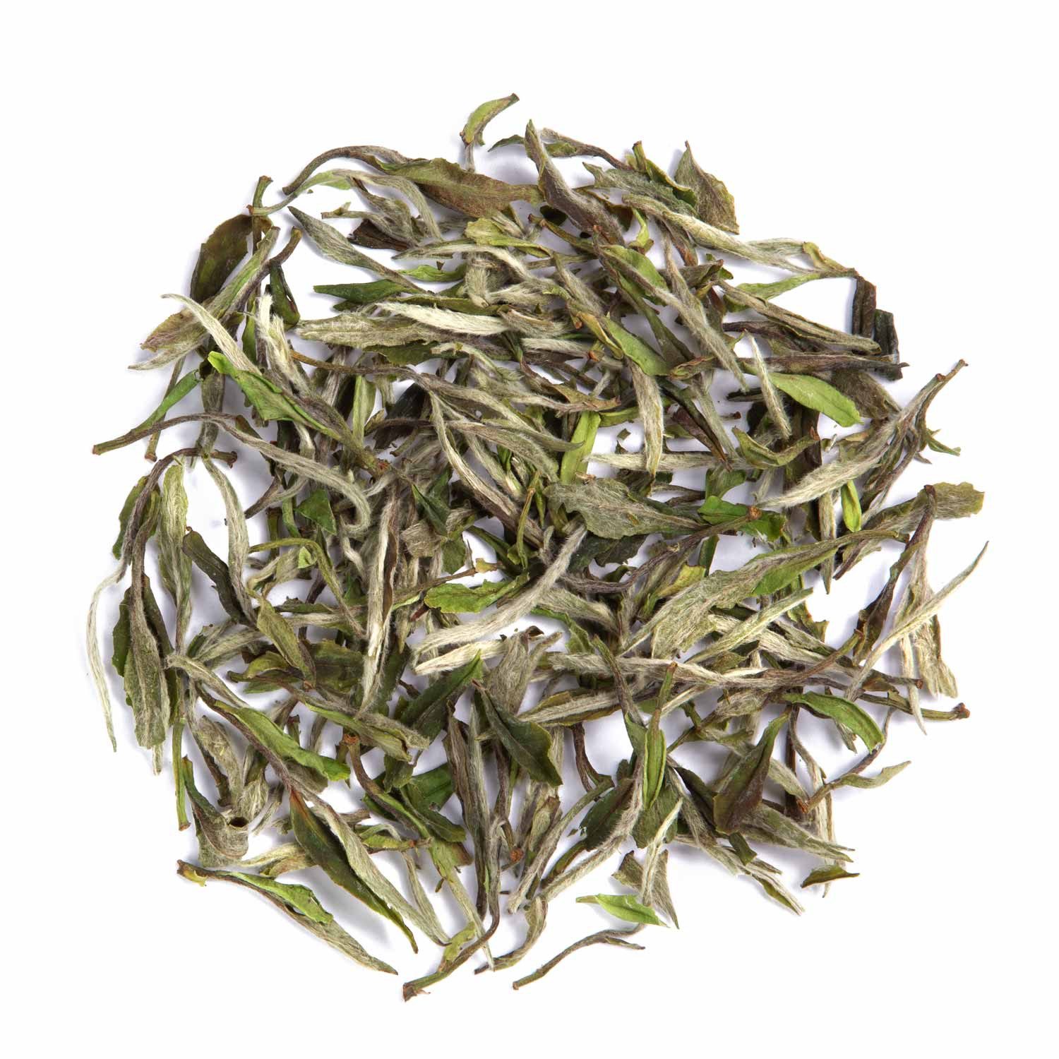 tea exclusive Tee Pai Mu Tan Wild Leaf, Weißer Tee, China, 30g, Zarter Duft nach Wildblumen, hellfruchtig, mit dezenter Süße und feine