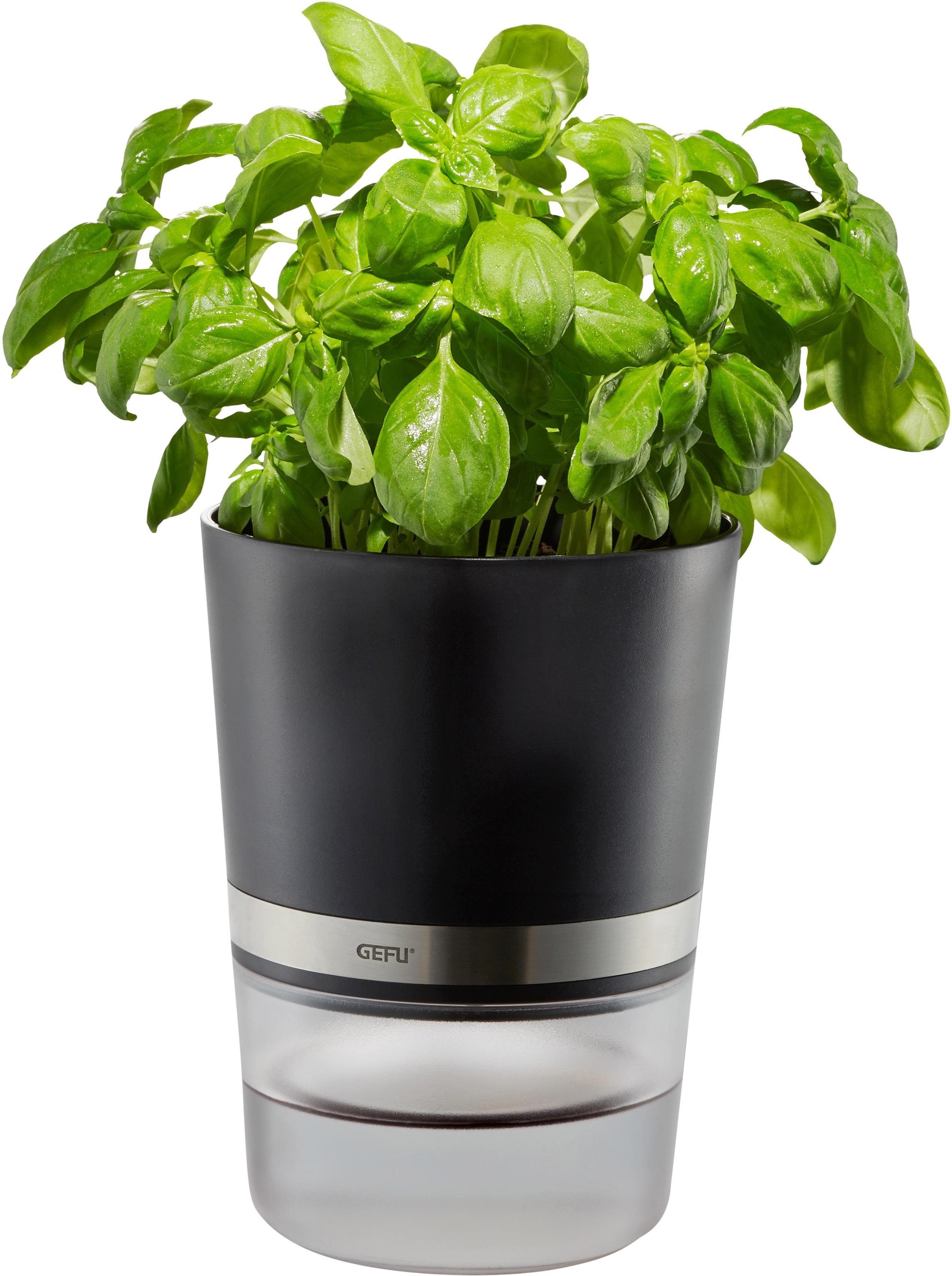 GEFU Kräutertopf Botanico, mit Bewässerungssystem günstig online kaufen