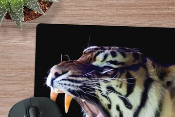 MuchoWow Gaming Mauspad Tiger - Zähne - Porträt (1-St), Mousepad mit Rutschfester Unterseite, Gaming, 40x40 cm, XXL, Großes