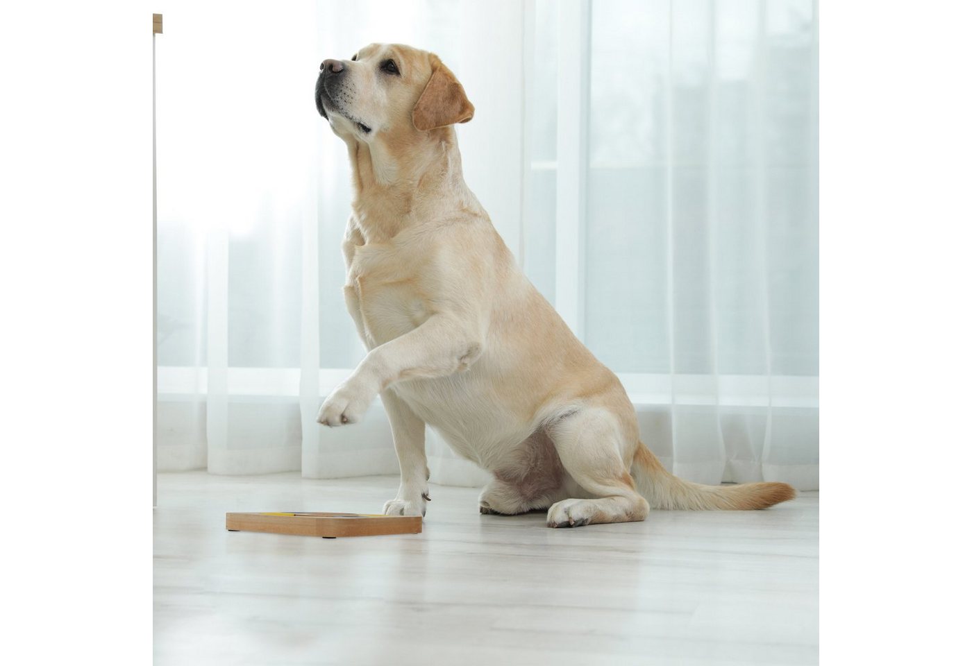Thumbnail - relaxdays Tier-Intelligenzspielzeug Intelligenzspielzeug für Hunde, Faserplatte