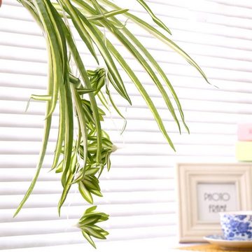 Kunstblume Kunstpflanze für Zimmer Deko, Aesthetic Künstliche Pflanzen Hängend, GelldG
