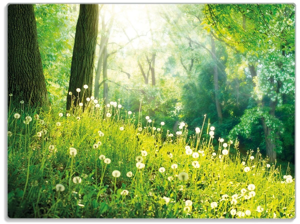 Wallario Schneidebrett Pusteblumen im Wald mit einfallenden Sonnenstrahlen, ESG-Sicherheitsglas, (inkl. rutschfester Gummifüße 4mm, 1-St), 30x40cm