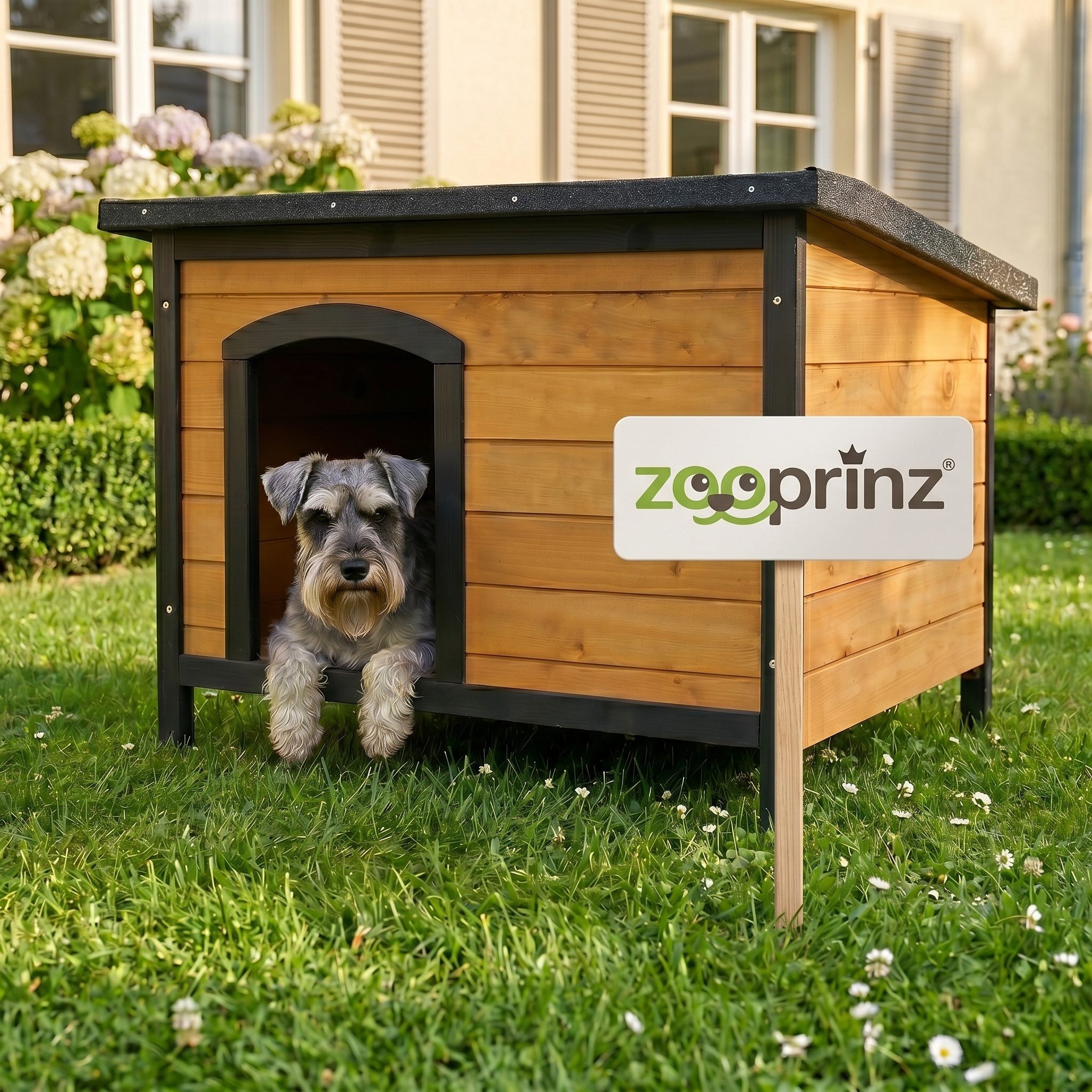 Zooprinz Hundehütte Carlo auf Holzfüßen mit Kunststoffkappen, Bitumen Klappdach, wetterfestes Kiefernholz, für kleine Hunde