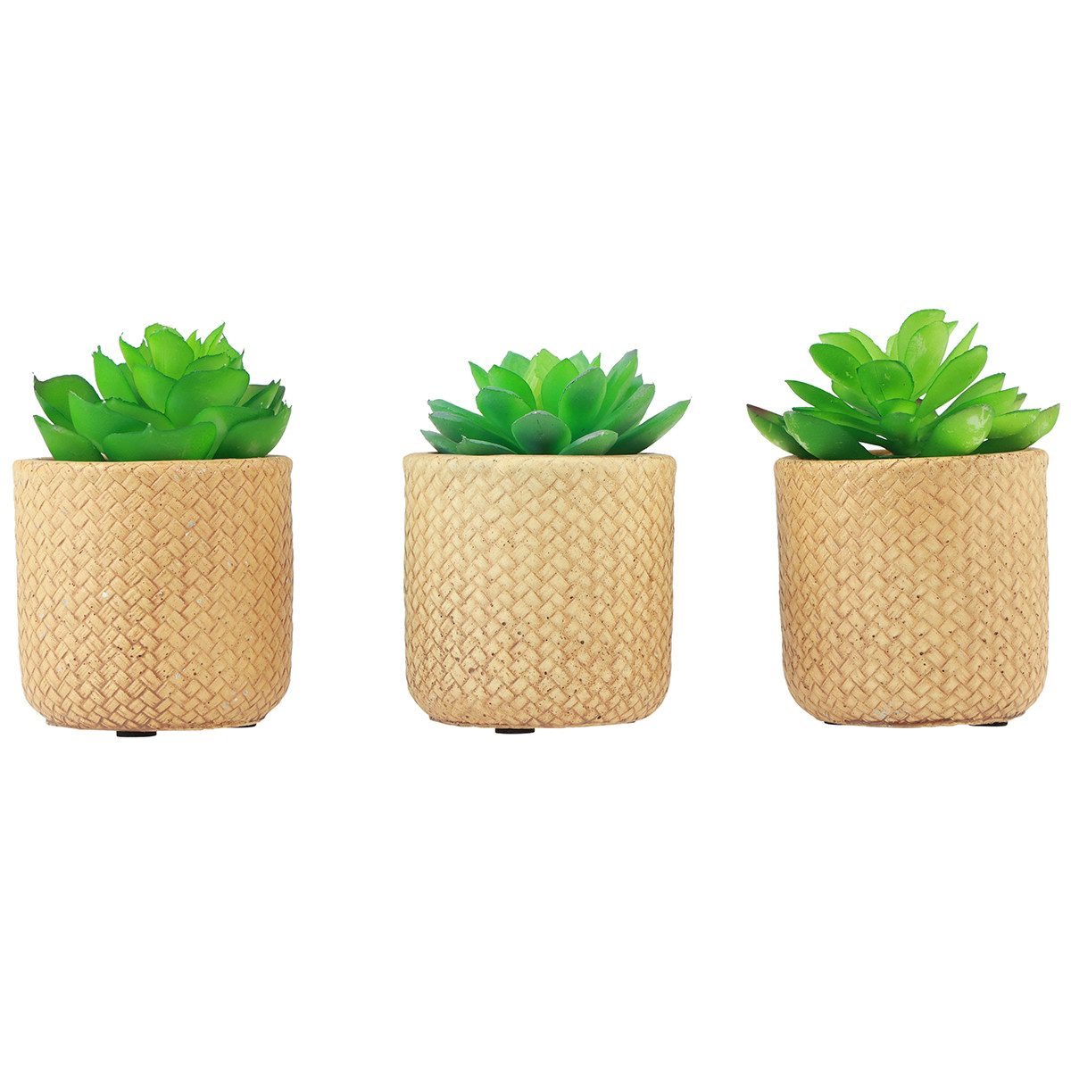Kunstkaktus Künstliche Sukkulenten im Topf, Kunstpflanzen Deko Set, 10cm, 3 Stück, Kaemingk, Höhe 10.5 cm