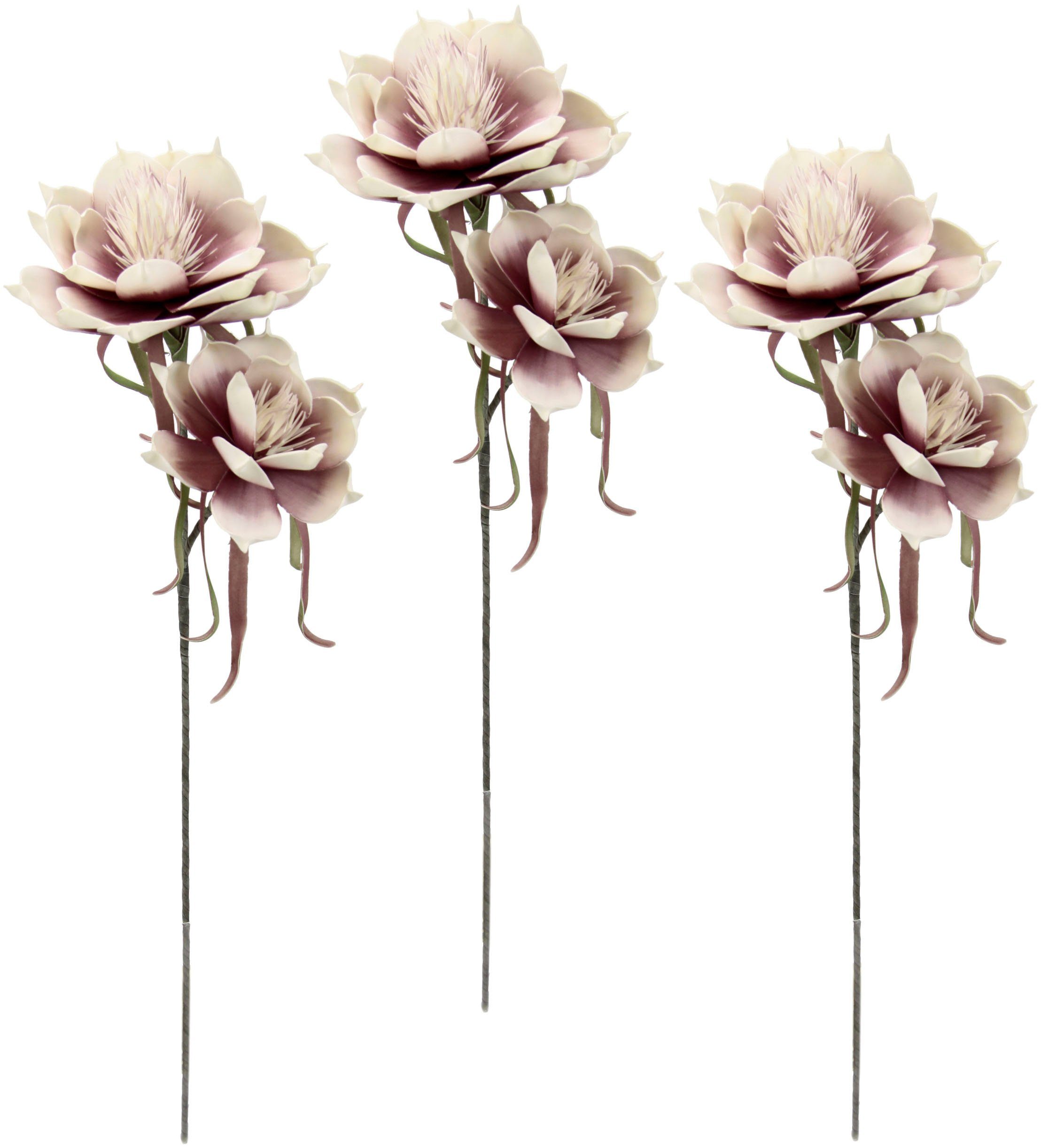 Kunstblume Soft-Magnolie, I.GE.A., Höhe 84 cm, 3er Set