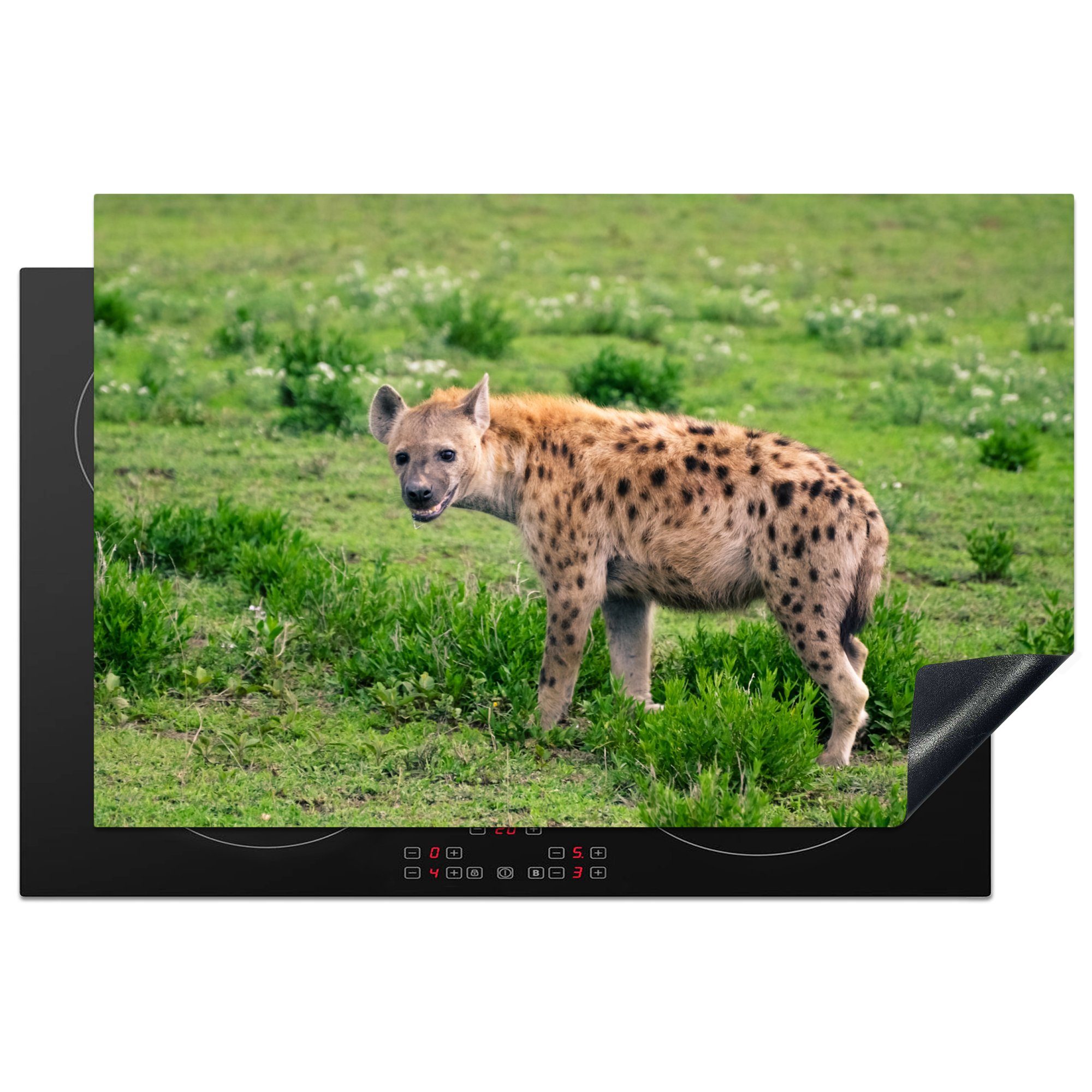 - Schutz Induktionskochfeld küche, - Herdblende-/Abdeckplatte die Hyäne Safari 81x52 (1 Ceranfeldabdeckung Gras, Vinyl, MuchoWow cm, für tlg),
