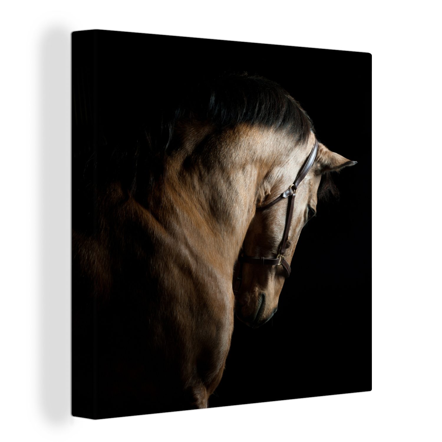 OneMillionCanvasses® Leinwandbild Pferde - Halfter - Schwarz, (1 St), Leinwand Bilder für Wohnzimmer Schlafzimmer bunt