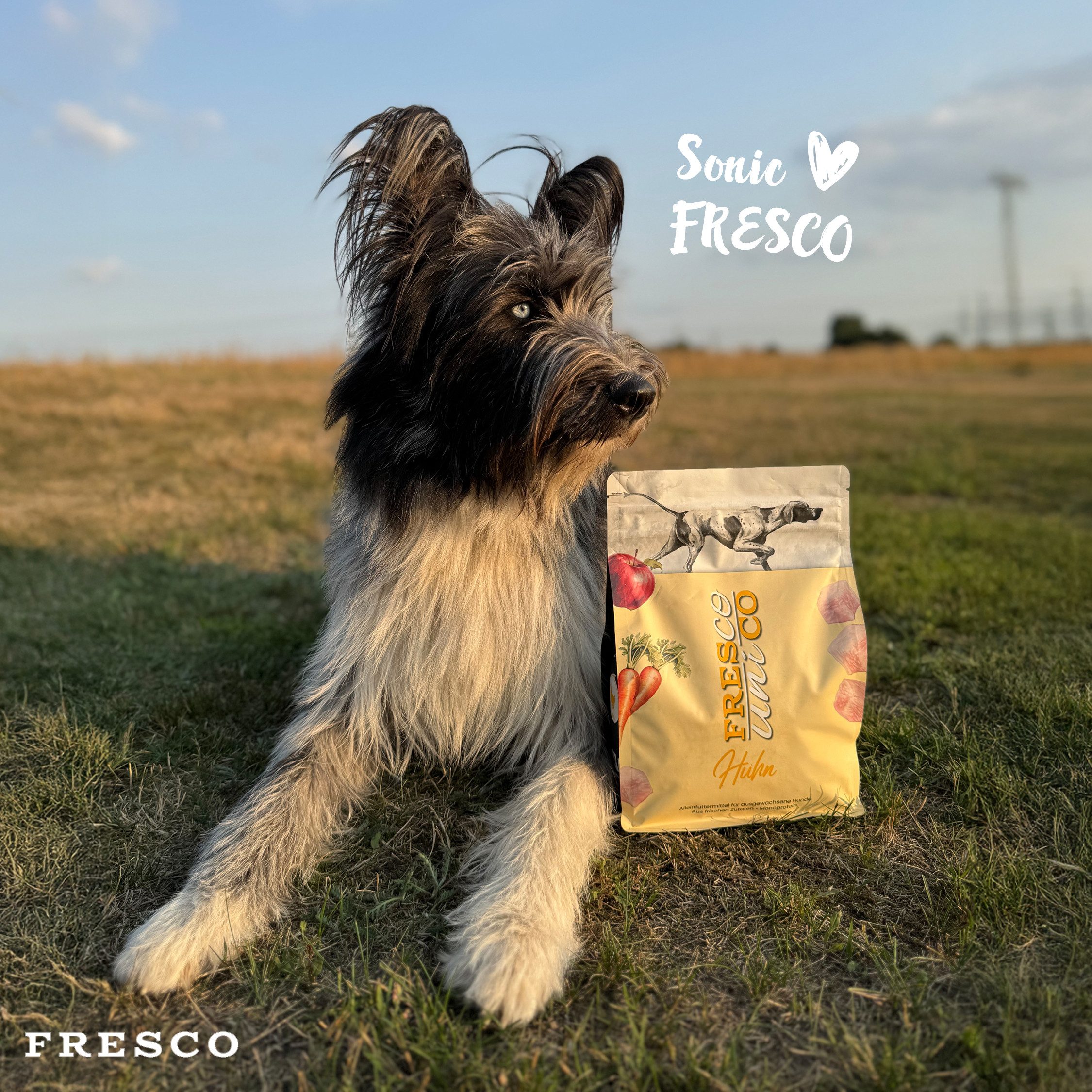 Fresco Dog unico Adult Huhn, Premium Hundefutter trocken getreidefrei, Trockenfutter für: Hunde, 66% Frischfleisch, zuckerfrei & hochverträglich