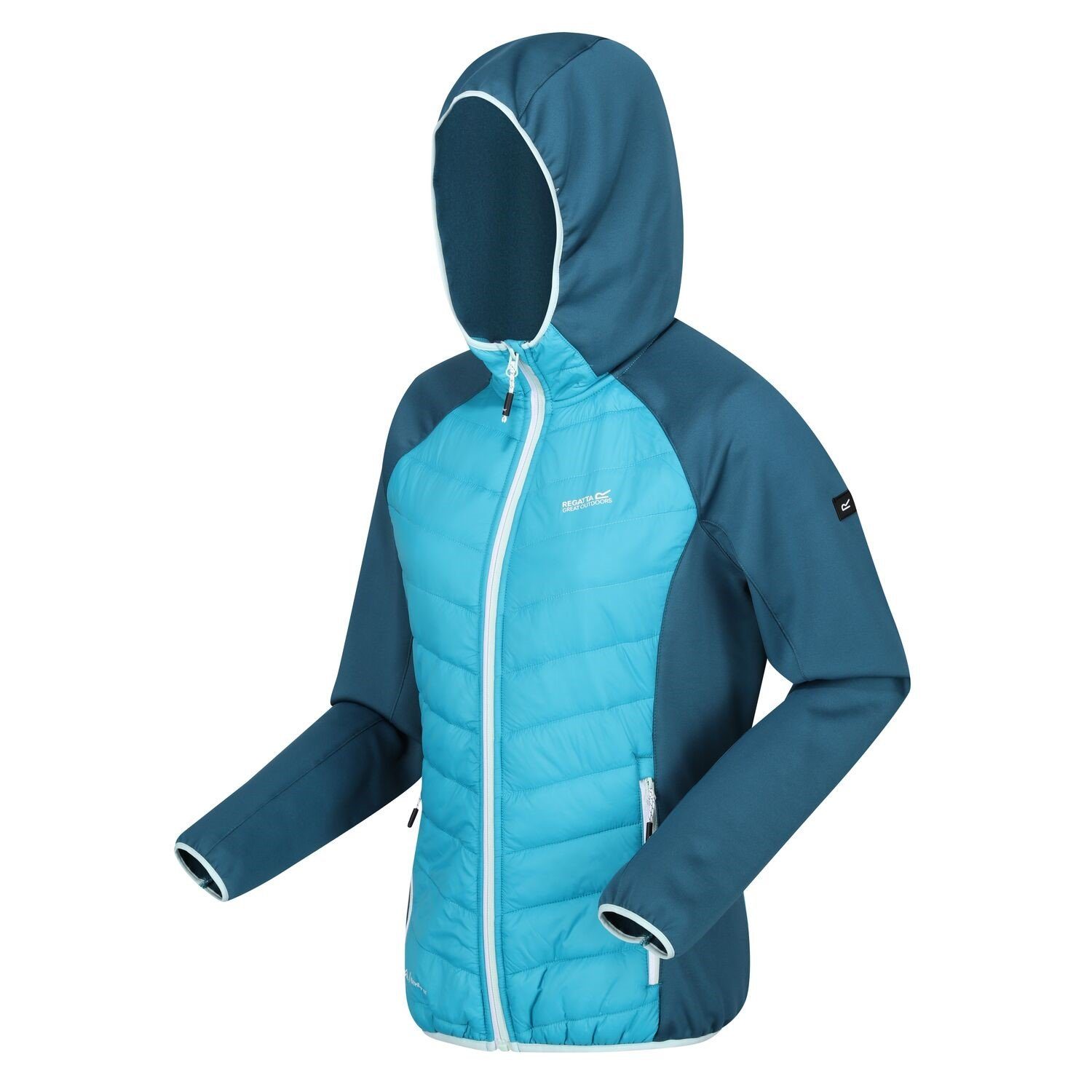 Regatta Steppjacke Softshelljacke Andreson VIII Hybrid günstig online kaufen