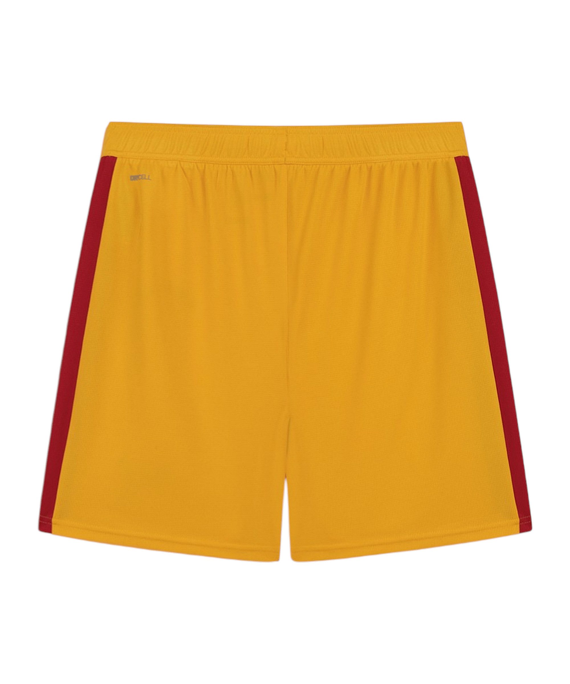 PUMA Sporthose PUMA Galatasaray Istanbul T7 Short Shorts Herren günstig online kaufen