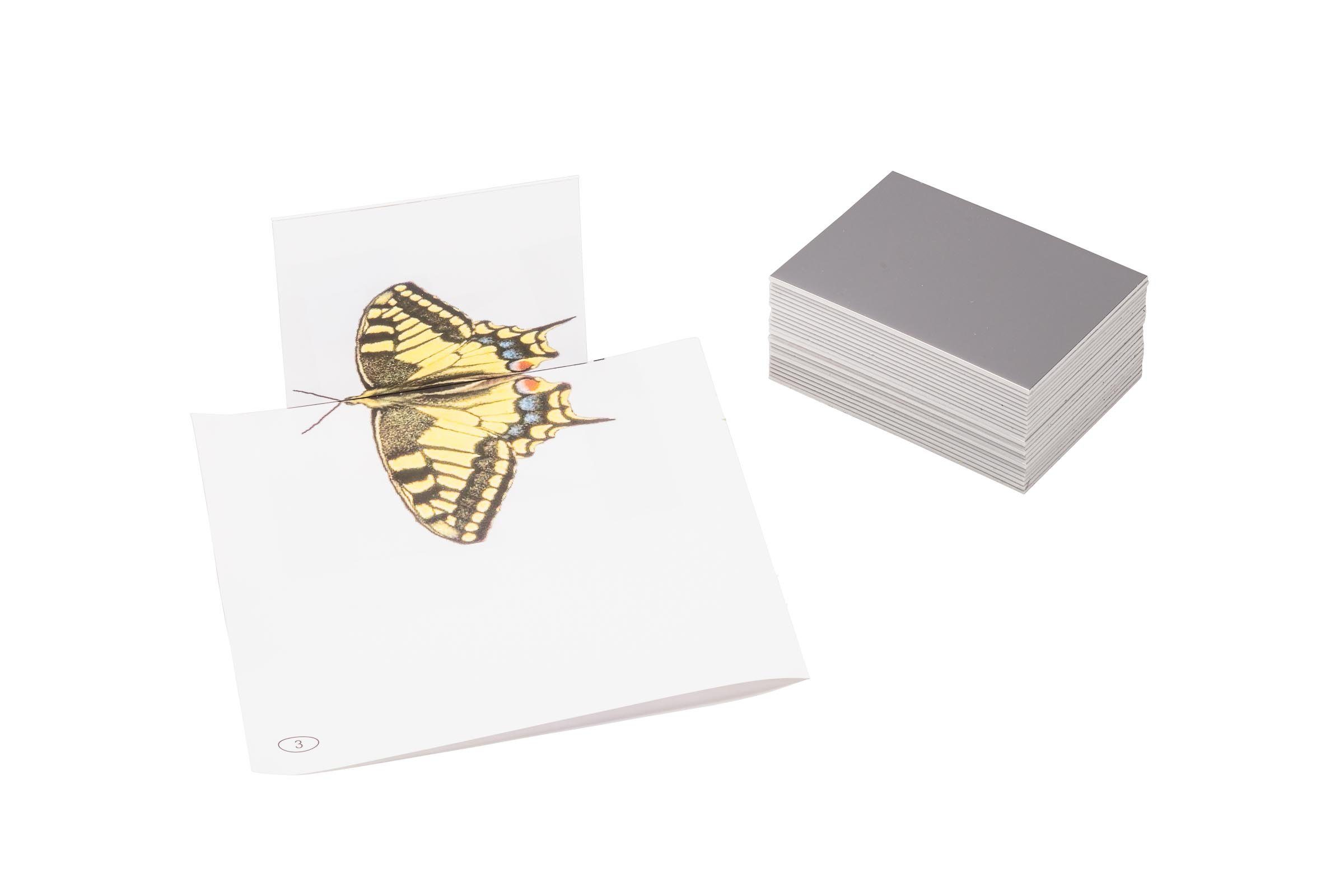 Wissner® aktiv lernen Lernspielzeug Spiegel klein (25 Stück), Spiegelschrift Symmetrie Geometrie (25-St), Hergestellt in Bensheim/Hessen/Deutschland.