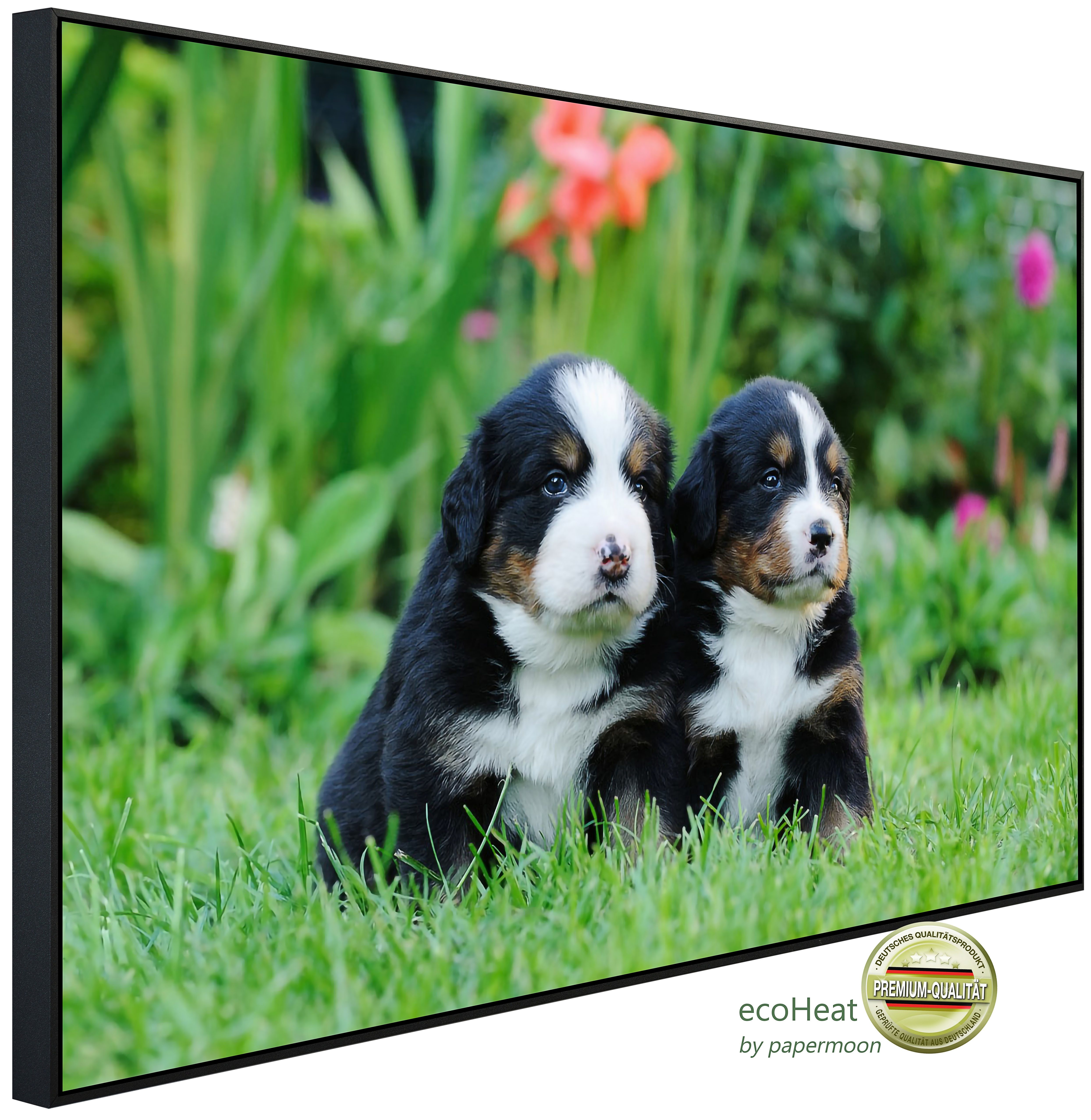 Papermoon Infrarotheizung INFRAROT-BILD-HEIZUNG, Berner Sennenhunde, TÜV-Rheinland/GS zertifiziert, angenehme Strahlungswärme