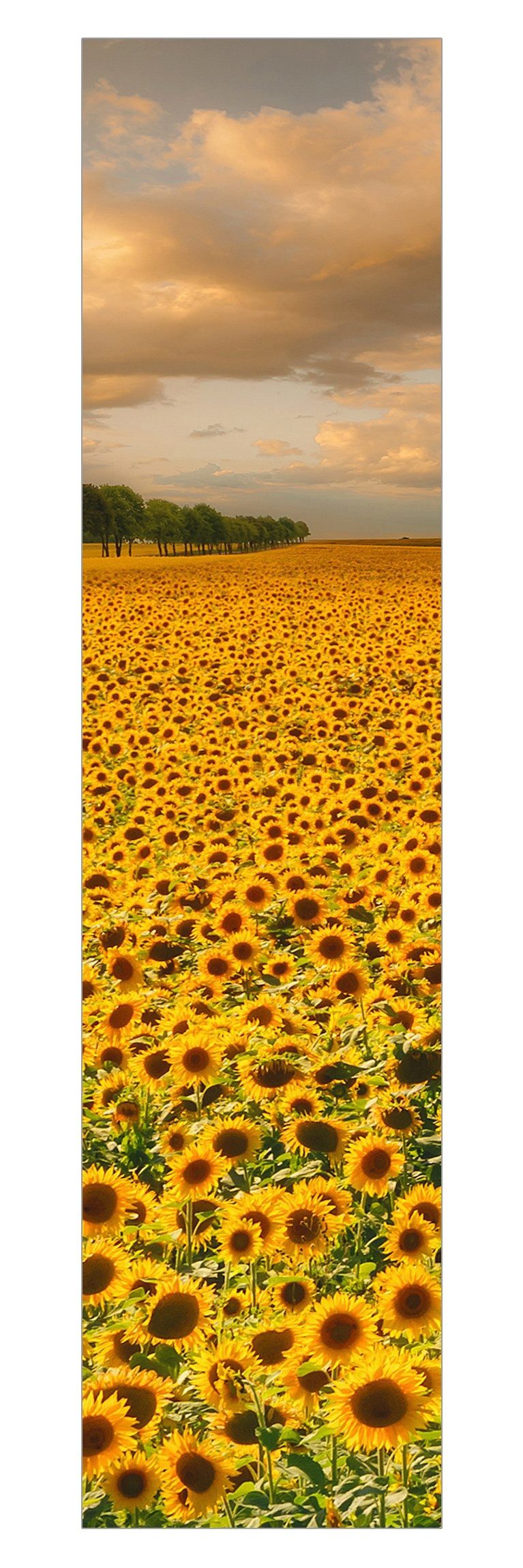 Bilderdepot24 Schiebegardine modern Flächenvorhang blickdicht Feld mit Sonnenblumen (1 St), halbtransparent, Wohnzimmer große Flächengardine lichtdurchlässig für Klemm-System