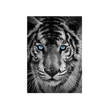 liwwing Fototapete Fototapete Tiger Gesicht Auge blau schwarz-weiß liwwing no. 426, Tiere