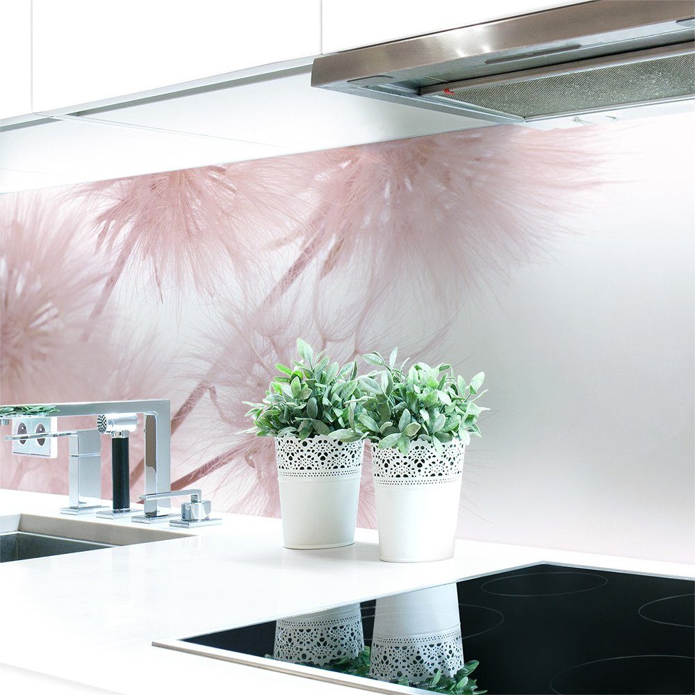 Löwenzahn 0,4 selbstklebend mm Küchenrückwand Hart-PVC Premium Küchenrückwand DRUCK-EXPERT Rosa