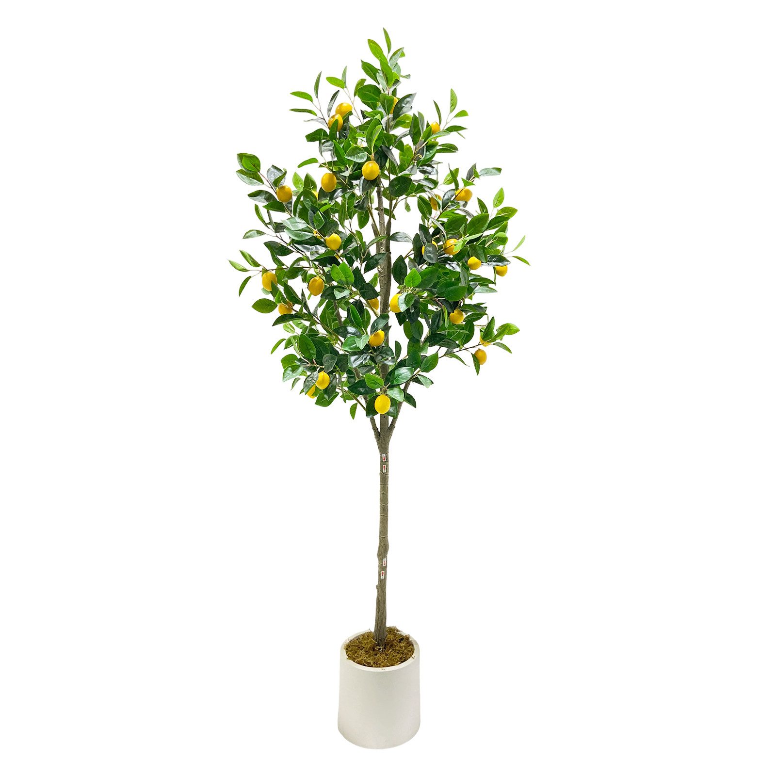 Künstliche Zimmerpflanze 180CM Künstlicher Zitronenbaum mitrealistischemStamm,Blättern,Früchten, GarveeMore, Höhe 180 cm, hohe …