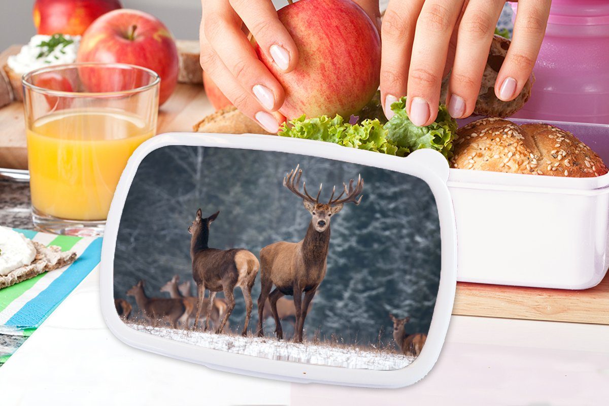 MuchoWow Lunchbox Jungs weiß - Landschaft Mädchen Brotdose, Winter Waldtiere für Erwachsene, (2-tlg), für und - Brotbox Hirsche Natur, - Kinder - und Schnee Kunststoff, 