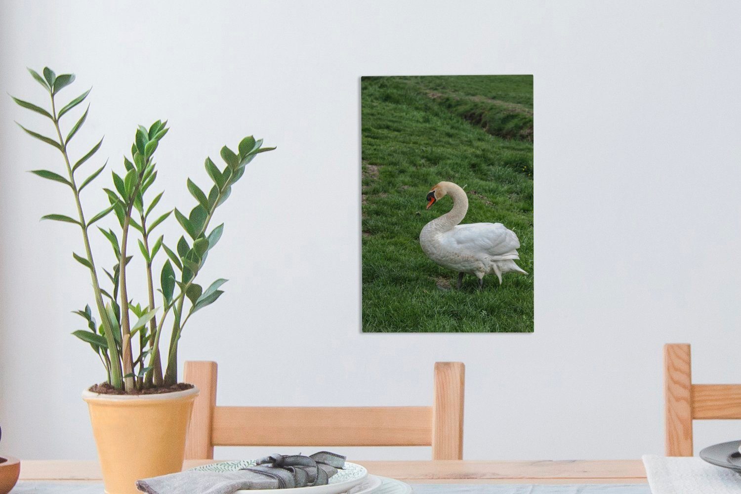 OneMillionCanvasses® Leinwandbild Schwan - Gras inkl. cm St), fertig (1 Gemälde, 20x30 Leinwandbild bespannt Natur, - Zackenaufhänger