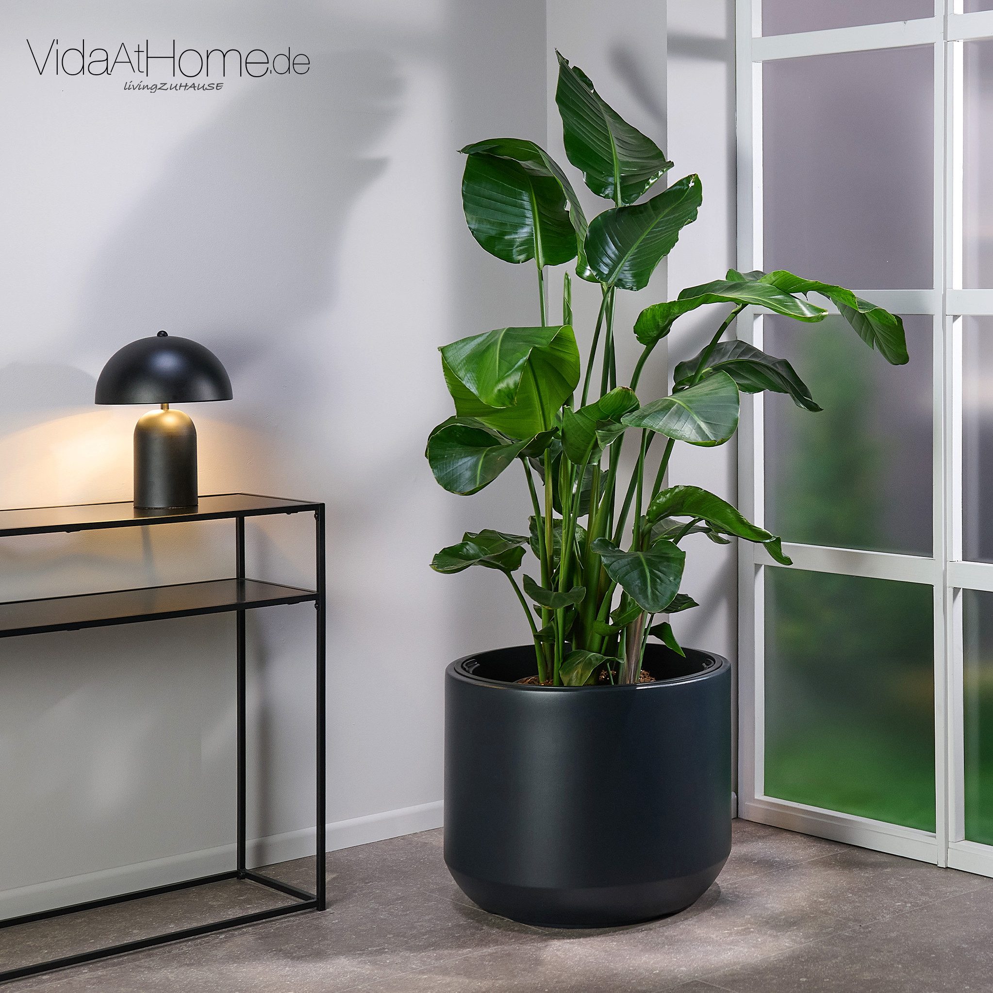 VidaAtHome.de Blumentopf Pflanzgefäß HERA ø 57er, Großer Pflanztopf mit Pfl günstig online kaufen