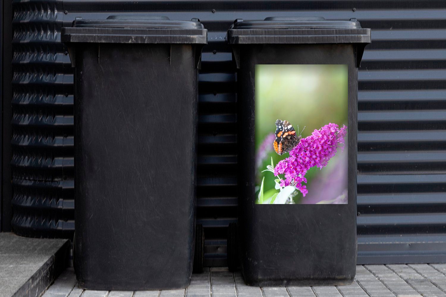 lila Mülltonne, einem Admiral St), Abfalbehälter MuchoWow Schmetterling auf Container, Wandsticker Sticker, Schmetterlingsstrauch Mülleimer-aufkleber, (1