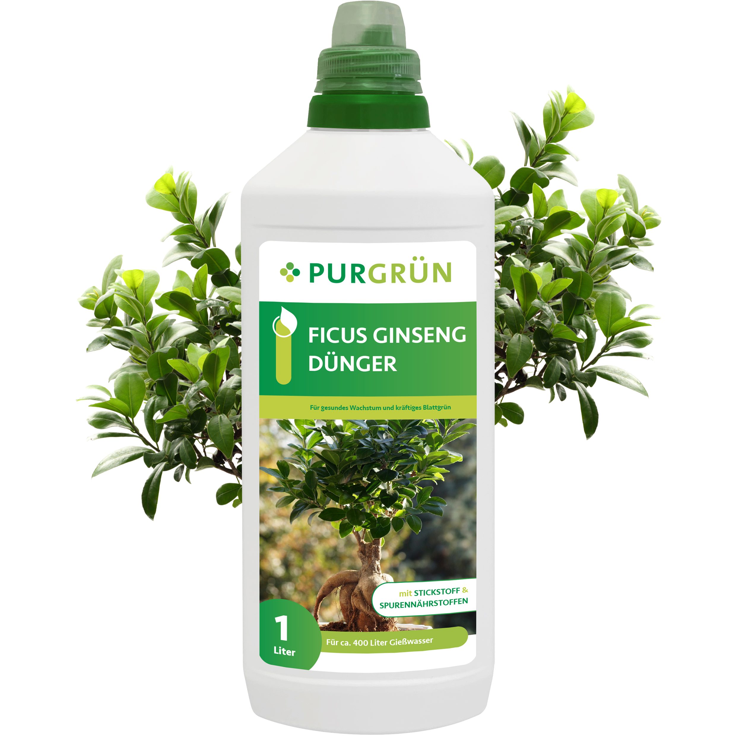 Pflanzendünger Purgrün Ficus Ginseng Dünger, NPK 10+4+6, stärkt Widerstandskraft, 1L