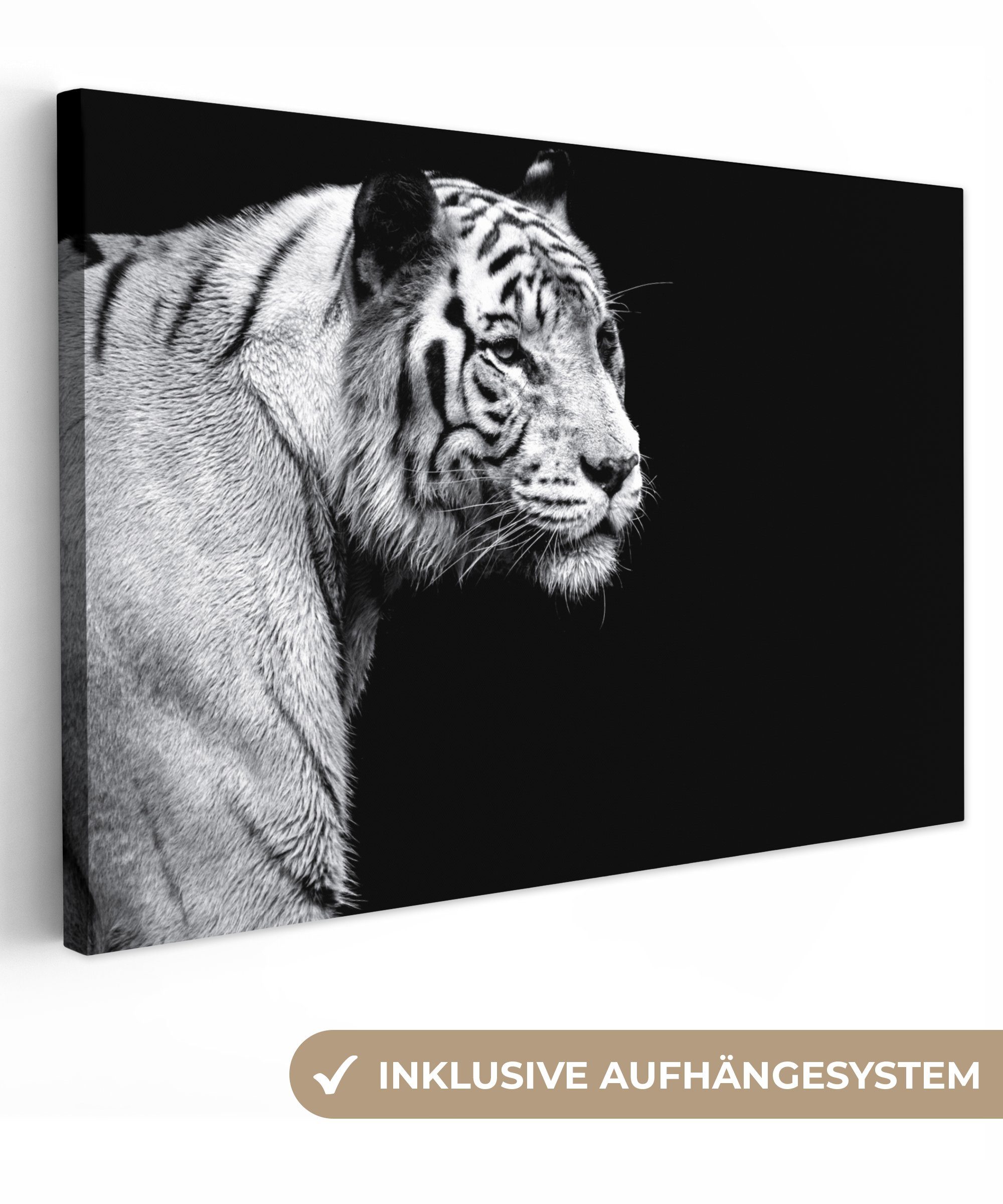 Wilde cm Aufhängefertig, - St), OneMillionCanvasses® (1 Wandbild Licht, Tiger - Leinwandbilder, 30x20 Tiere Leinwandbild Wanddeko,