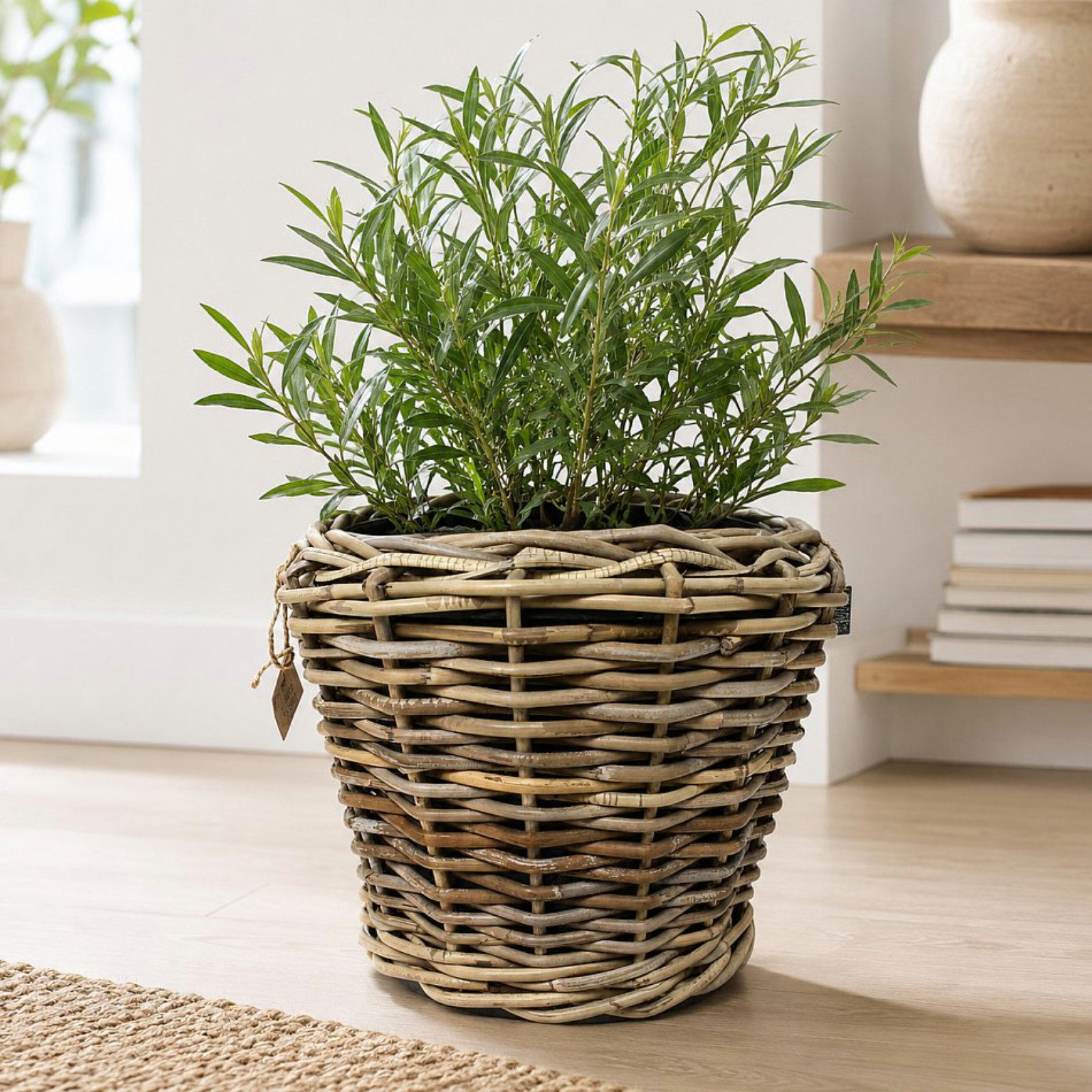 Van der Leeden Blumentopf 37x28cm Rattan Weide Sylter Korb Drypot (Stück, 1 St., Packung), Indoor & Outdoor, Naturprodukt, Rattan, inkl. Kunststoffeimer