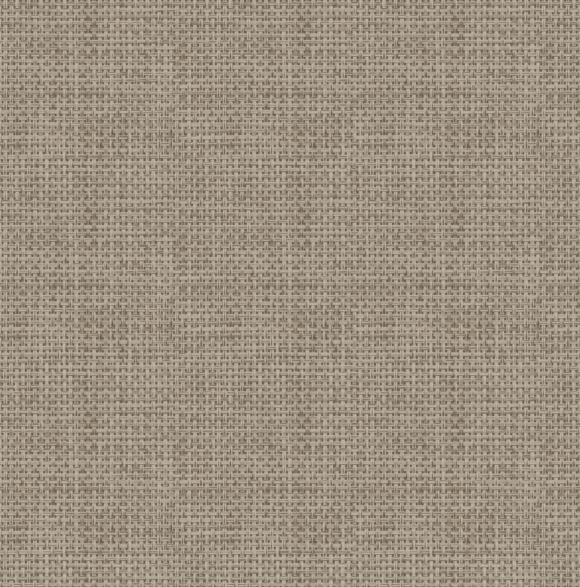 Easy Decor Vliestapete Rotan, texturiert, 3D-Optik, (1 St), Design Tapeten