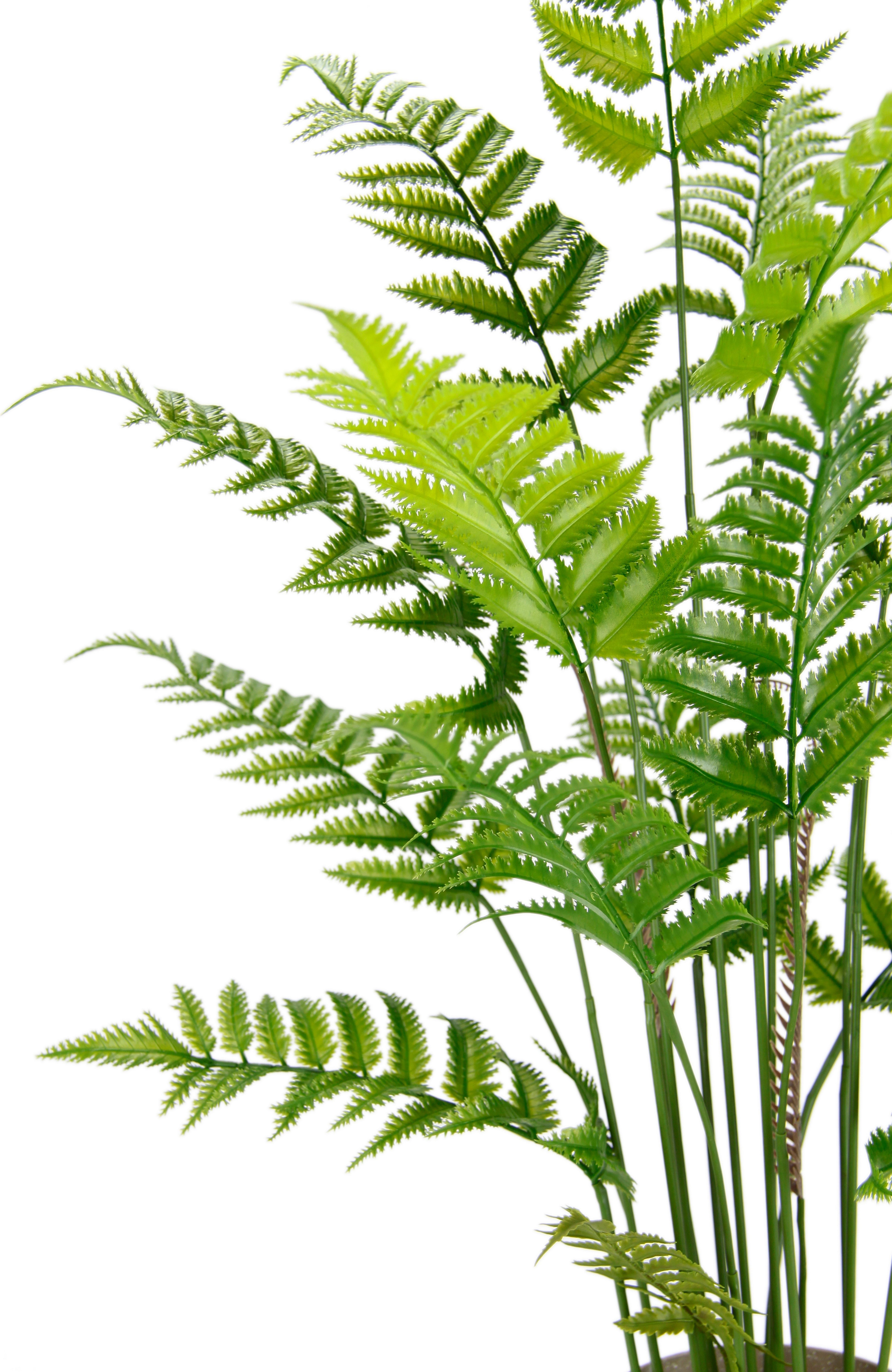 Kunstpflanze Künstlicher Waldfarn im Topf Farn Kunstfarn Farnbusch Waldpflanze, I.GE.A., Höhe 90 cm, Zimmerpflanze Pflanze Grünpflanze Dekofarn Strauch Dekopflanze